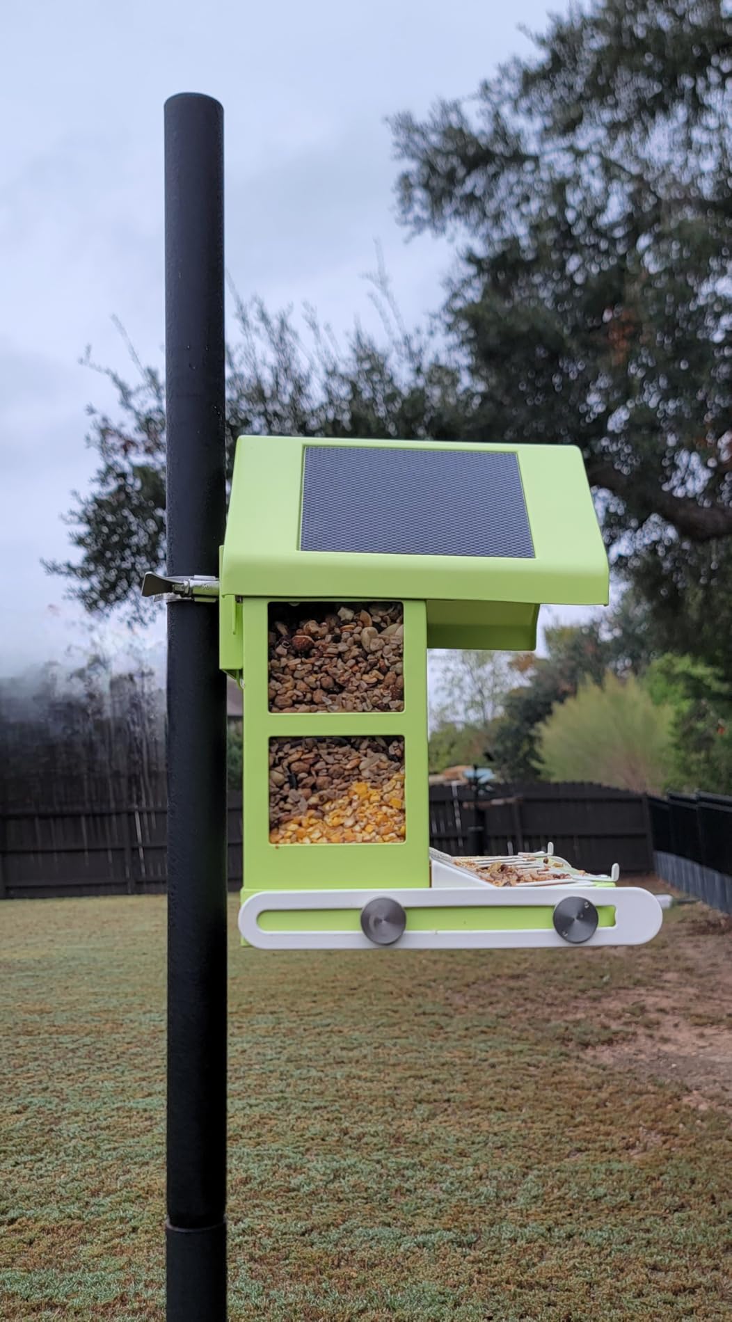 Birdfy Smart Bird Feeder with Camera, Durable Metal Feeders for Outdoors, Auto-Identify & Record Video, Instant Alert, Live Bird Watching Camera Solar, Gifts for Backyard Birder (AI Lifetime Free) customer photo 2