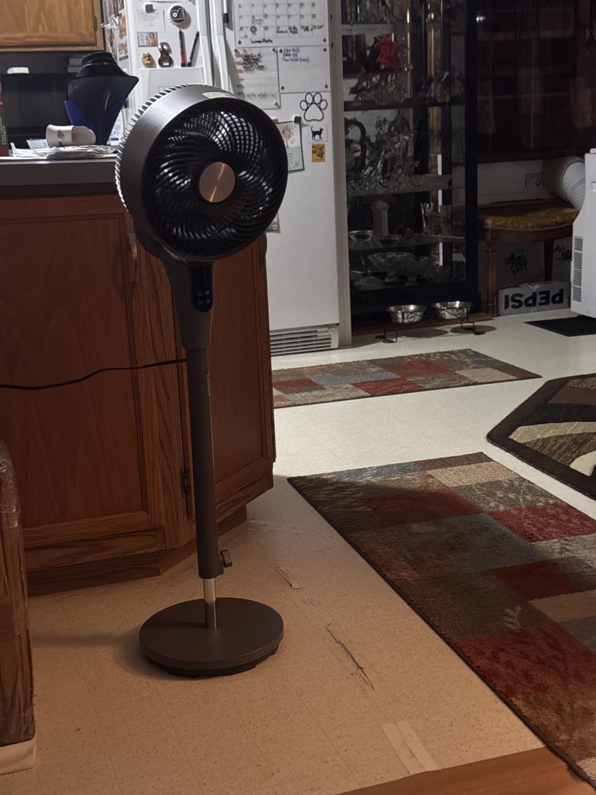 DREO Fan for Bedroom, 2026 Upgraded, 90ft Airflow, Quiet Fan, 90° Oscillating Standing Fan for Whole Room, DC Motor, 8+H Speeds, 3 Modes, 38-42'' Adjustable Height, 8H Timer, 105° Manual Vertical customer photo 1