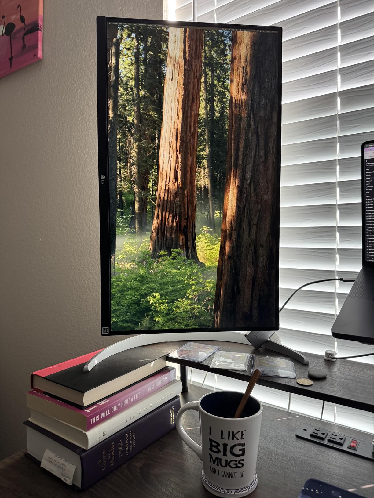 LG 27UP650K-W 27-inch Ultrafine 4K UHD (3840 x 2160) IPS Computer Monitor, 60Hz, 5ms, DisplayHDR 400, Reader Mode, Flicker Safe, HDMI, DisplayPort, Tilt/Height/Pivot Adjustable Stand, White customer photo 2