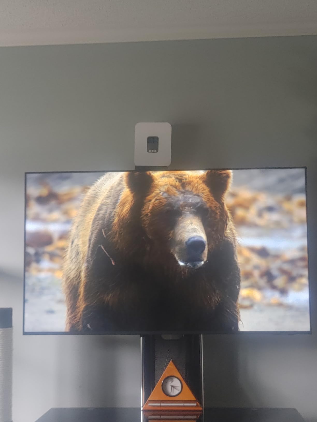 Samsung 58-Inch Class Crystal UHD U8000F 4K Smart TV (2025 Model) Endless Free Content, Processor, MetalStream Design, Knox Security, Alexa Built-in customer photo 2