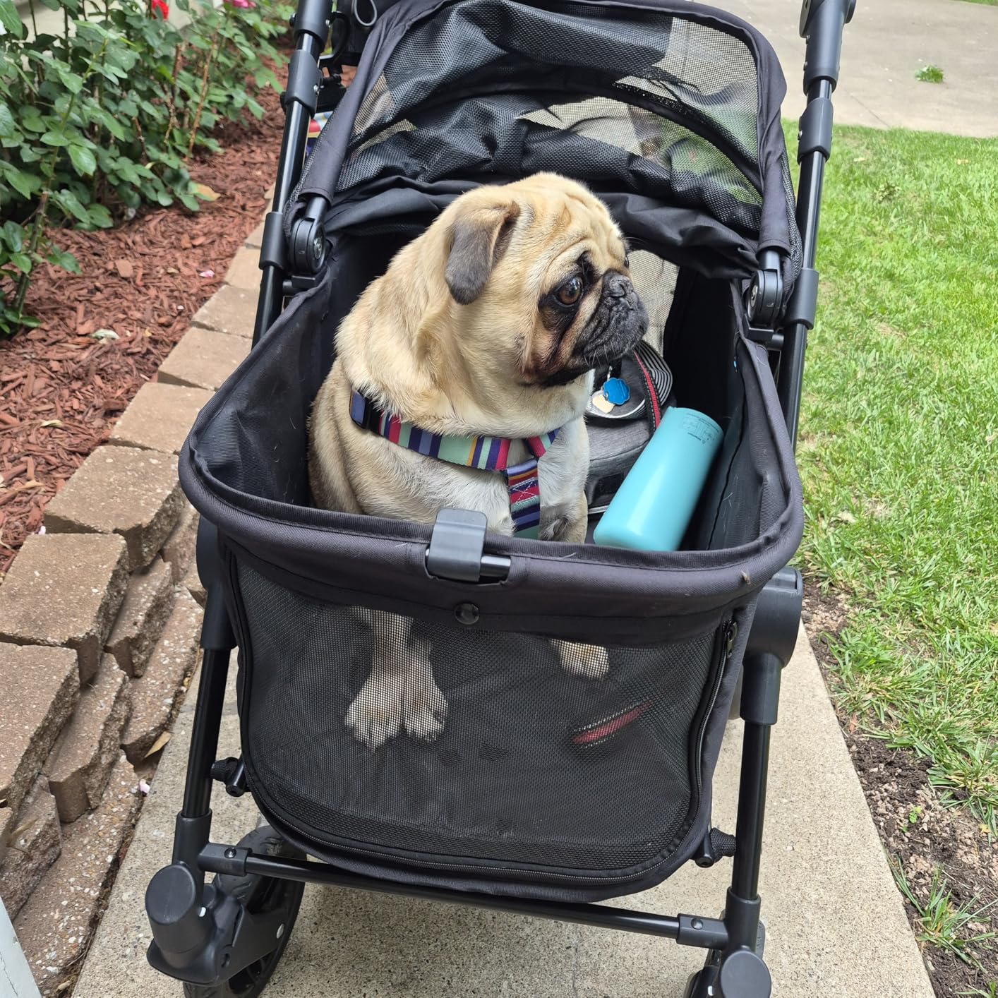 Zoosky Medium Dog Stroller for Large Dogs, Pet Stroller, Up to 66lbs | All-Terrain 360° Swivel Wheels & Adjustable Handle & 180° Dual-Open Canopy, Sun Shades, Storage Organizer, Waterproof Oxford customer photo 2