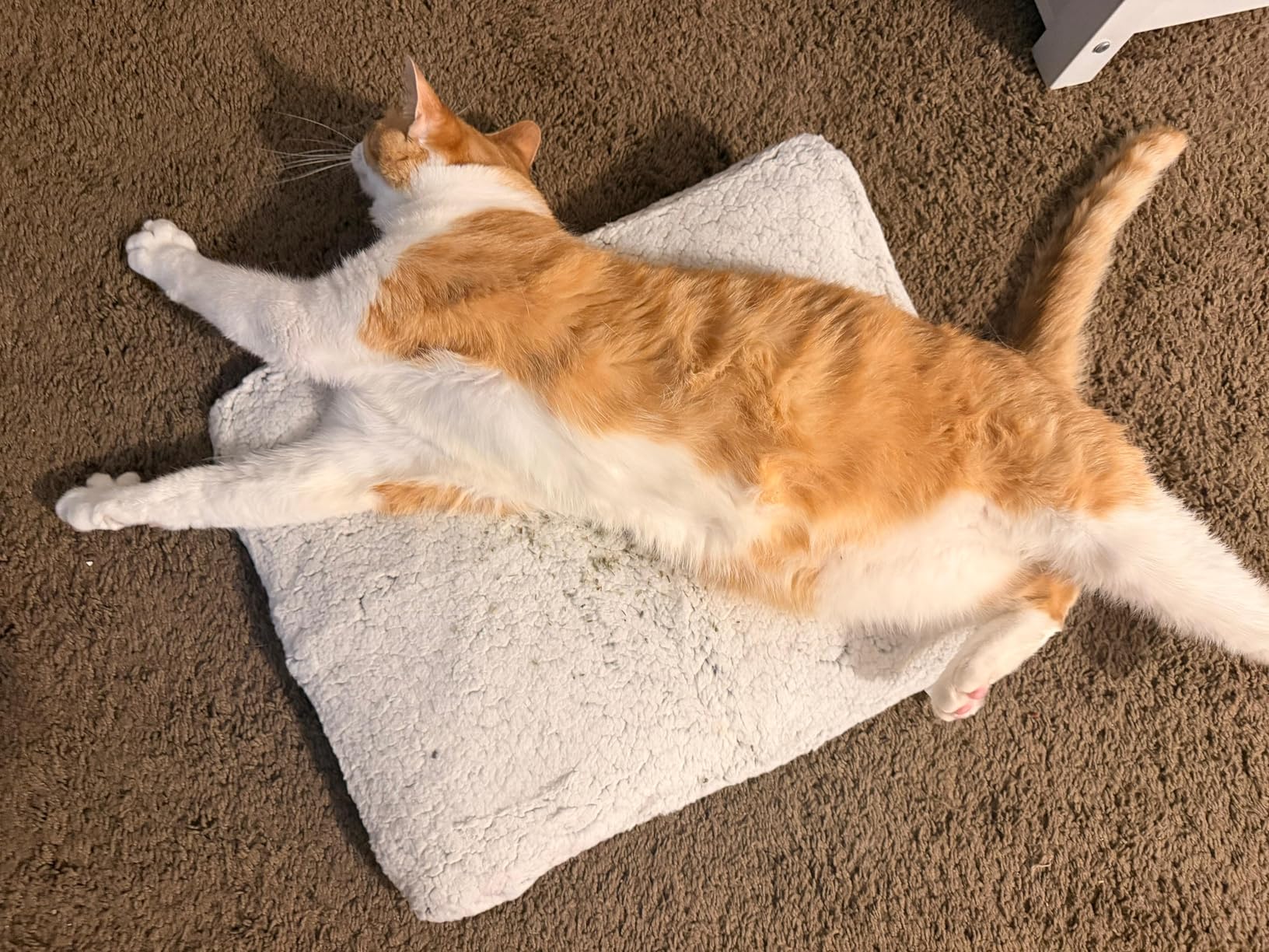 WanpeeGoo Self Warming Cat Bed, Heated Cat Bed, 2.0 Upgraded Thermal Foil Heating Pad, Plush Self-Heating Pet Mat for Crate, Floor, with Removable Washable Cover, Non-Slip, 15