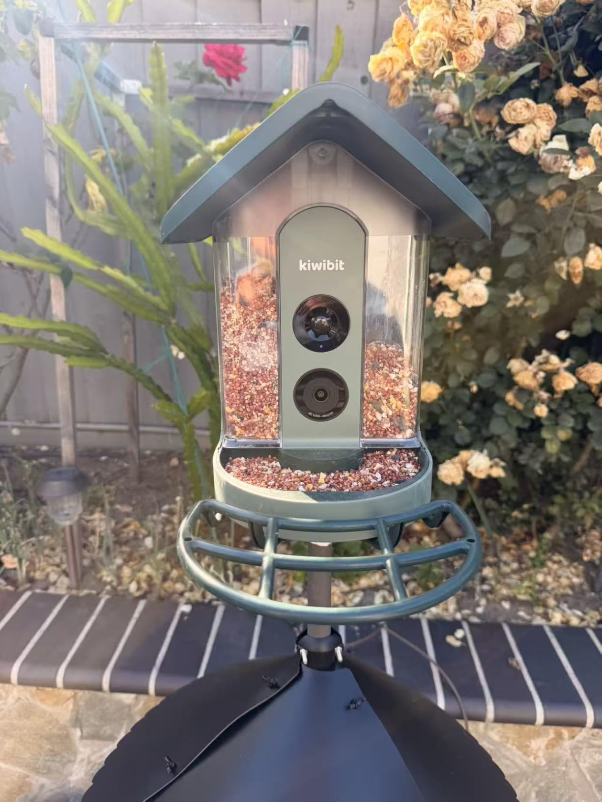 Kiwibit Solar Smart Bird Feeder with Camera, AI Bird Species Identification, 8MP Photos, 4K UHD Video Live Stream Wild Bird House Feeders for Outdoors, Bird Watching Gifts for Bird Lovers, Green customer photo 1
