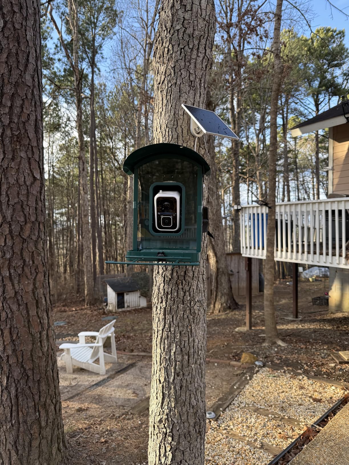 Bird Feeder with Camera, 4K Ultra HD Video with 30fps Live View, 10x Slow Motion, No Subscription, Solar Powered AI Smart Bird Feeder with Camera, 2.4G/5G Wi-Fi, Durable Metal, Bird Lover Gift customer photo 2