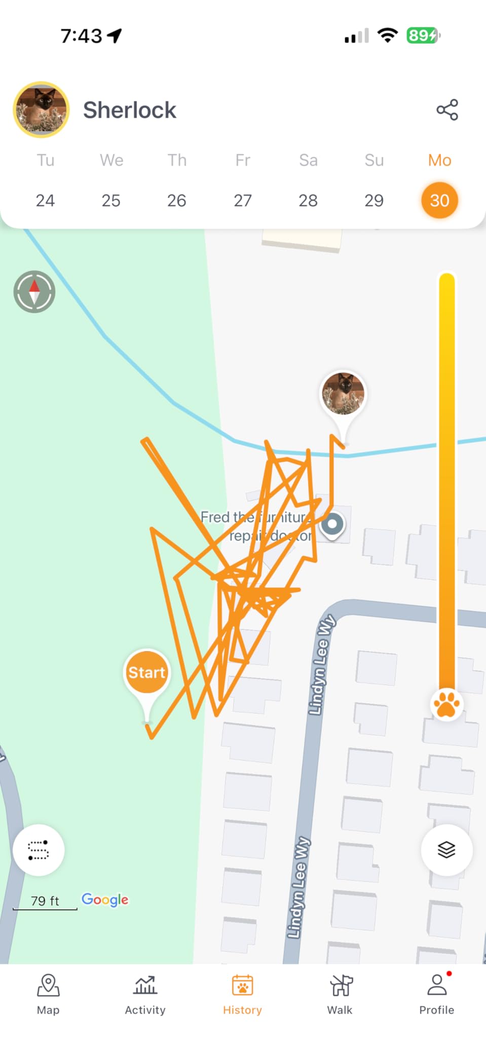 Pawfit Lite 4G GPS Cat Tracker, Live Tracking, Ultra-Light, Onyx Black customer photo 2
