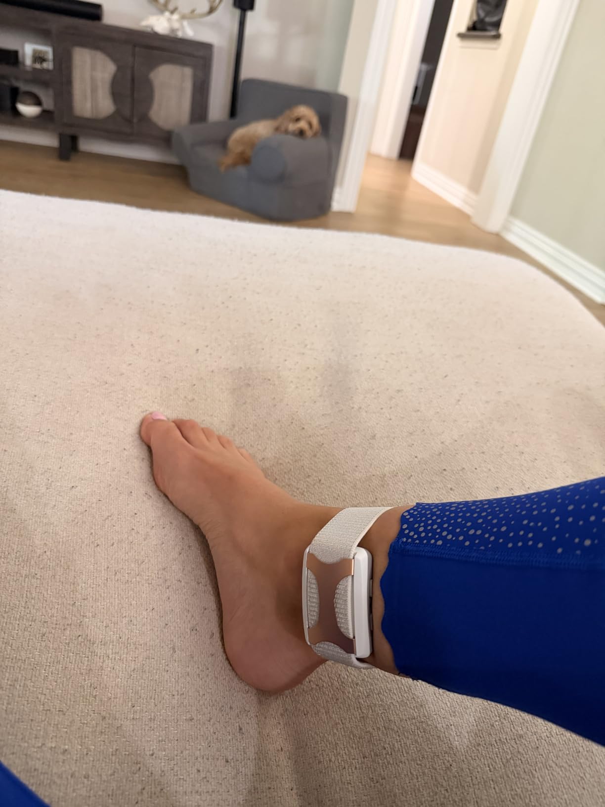Apollo Neuro Wearable & 12-Month SmartVibes AI Membership - Sleep Aid & Stress Relief Device (Glacier) customer photo 2