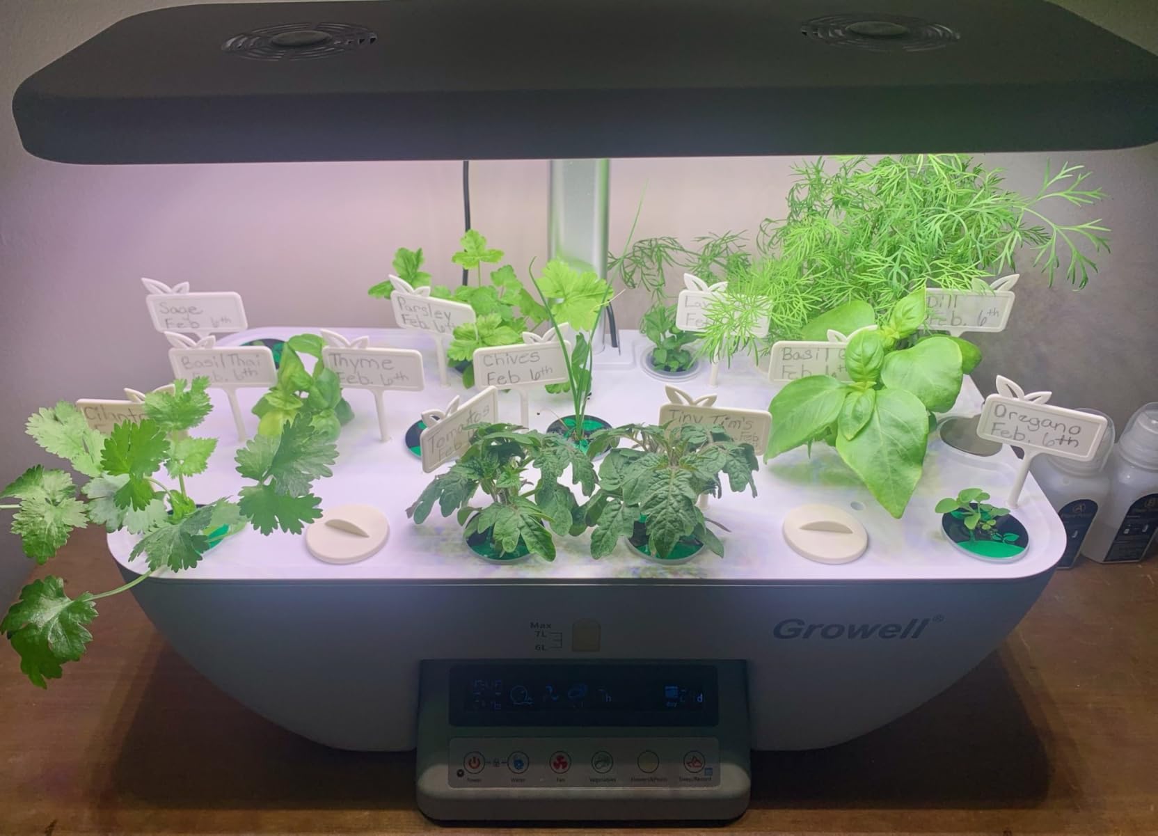 Growell Hydroponics Growing System Kit, 17 Pods Indoor Herb Garden with 2 Fans Circulation, Grow Light, Smart Water Cycle, Auto Timer, 10L Water Tank, Perfect Indoor Gardening System Gifts(Black/White) customer photo 1