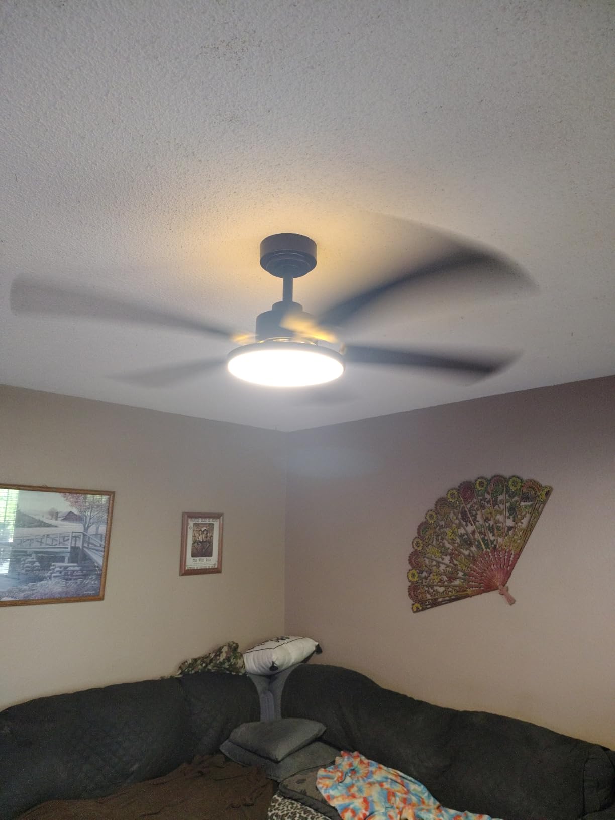 Amico 52 Inch Smart Ceiling Fans with Lights, Downrod Mount, Black | Compatible with Alexa/Remote/App, Sloped, 6 Speeds, Dimmable 3CCT, Quiet Reversible DC Motor, Timer, Bedroom, Living room customer photo 2
