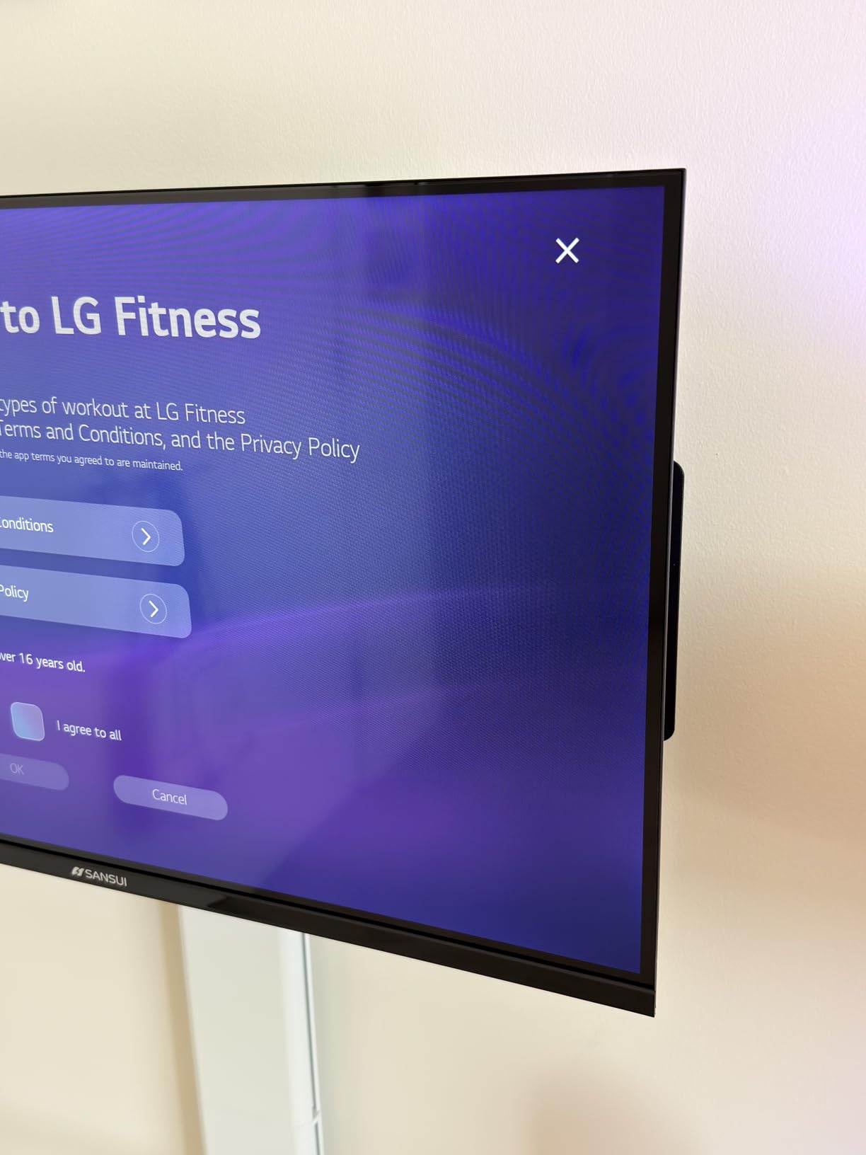 SANSUI 24 inch 768P DLED Smart WebOS TV | Small Television with chromecast Built in | WebOS hub Compatible with HomeKit | Support Airplay & WiFi Connection & Bluetooth 5.2&2 * 8w Speakers customer photo 2