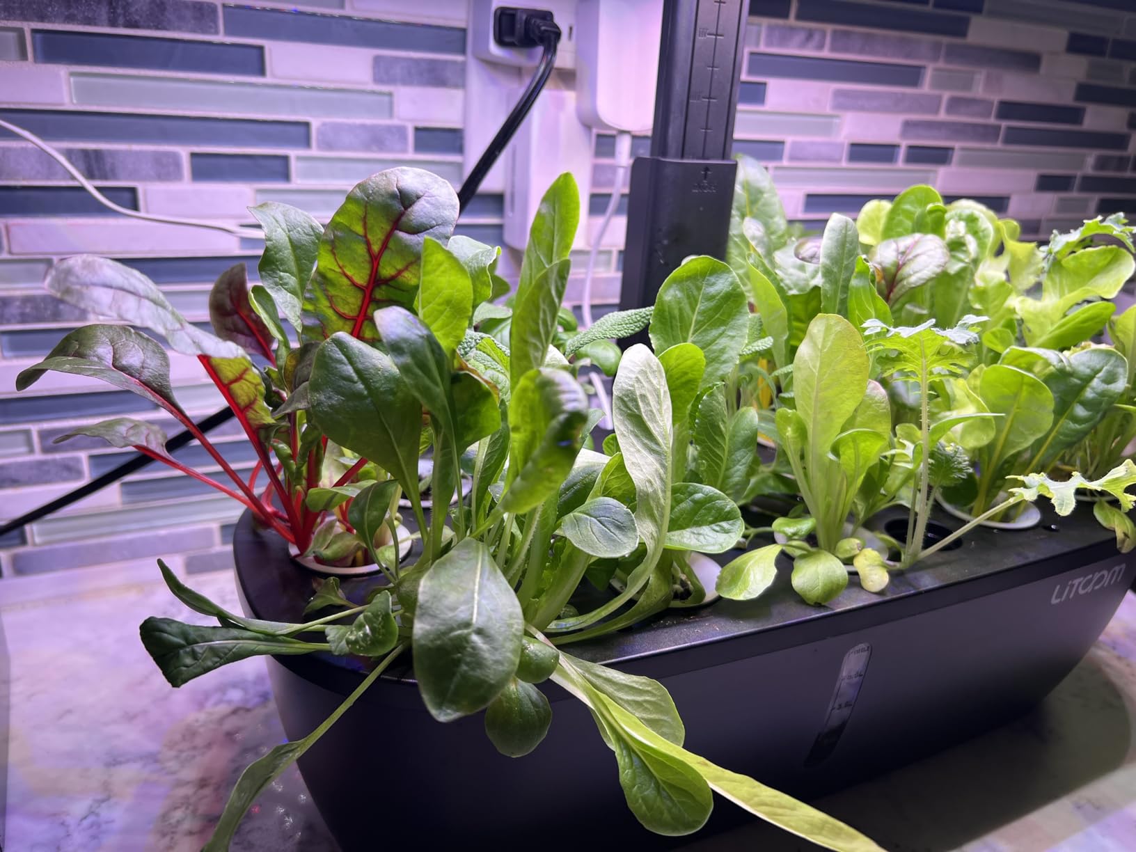 litokam Hydroponics Growing System Kit, 15 Pods Indoor Herb Garden with Smart APP & Quiet Pump, 24W LED Light, Auto Timer, Perfect Indoor Garden for Herbs, Vegetables & Flowers, Ideal for Plant Lovers customer photo 2