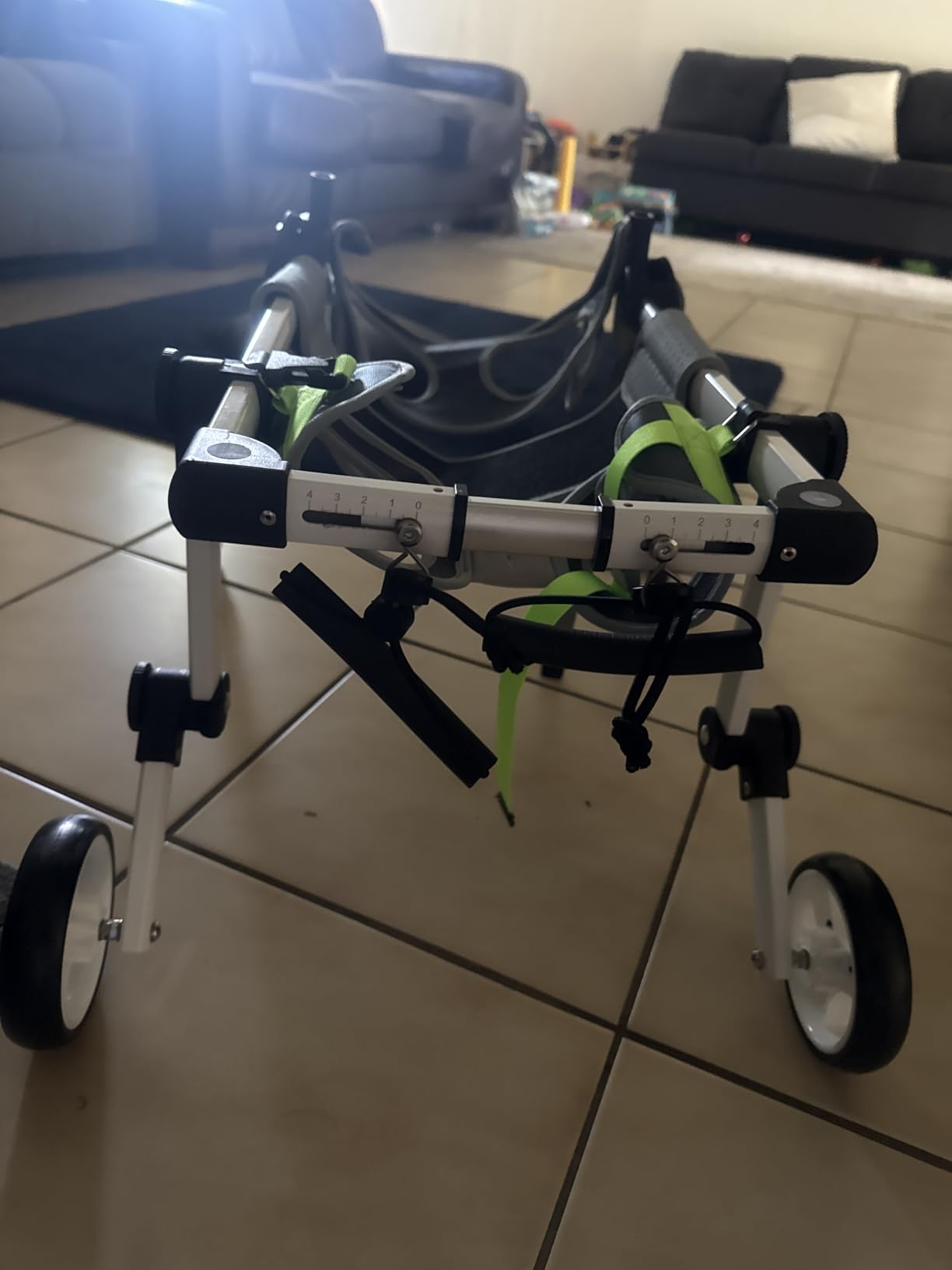 Dog Wheelchair 4 Wheels Adjustable, Full Body Support Dog Cart for Front & Rear Legs, Lightweight Mobility Aid for Small Dogs customer photo 2