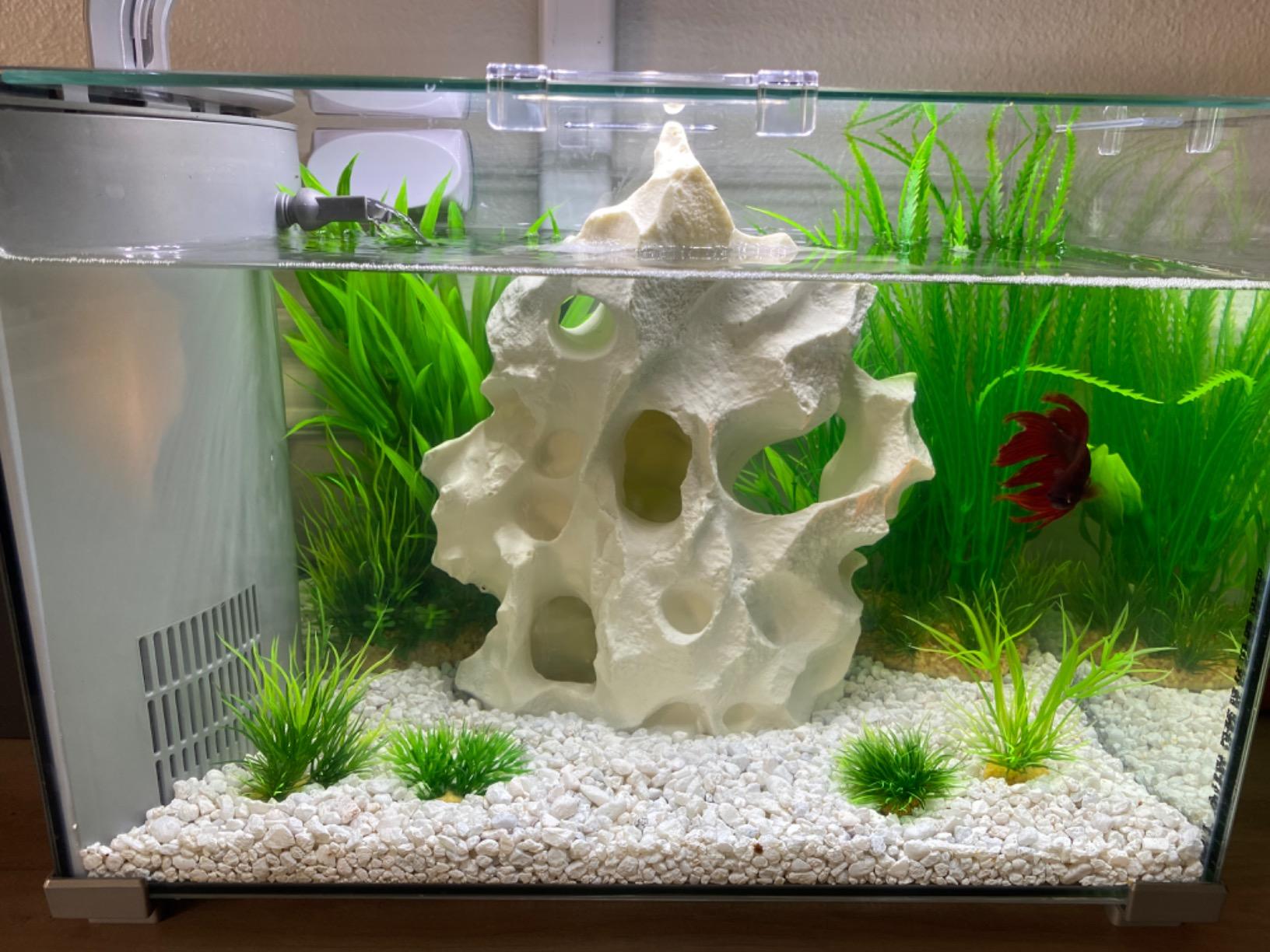 API PH TEST KIT 250-Test Freshwater Aquarium Water pH Test Kit, 4 Piece Set customer photo 1