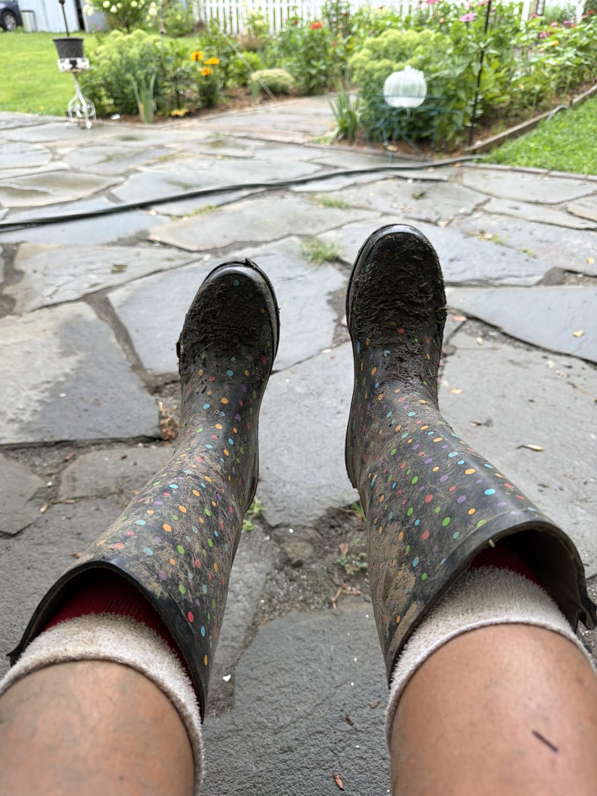 Western Chief Women's Tall Waterproof Rain Boot Outdoor Garden Shoes customer photo 1