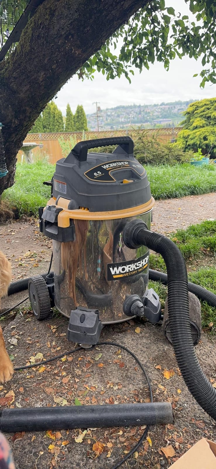 WORKSHOP Wet/Dry Vacs WS1600SS 16-Gallon 6.5 Peak HP Wet Dry Vacuum Cleaner | Stainless Steel Shop Vacuum customer photo 1