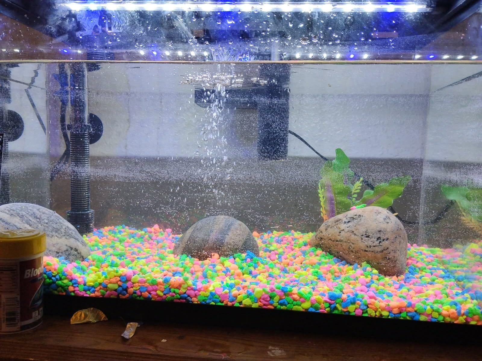 API Freshwater Master Test Kit customer photo 1