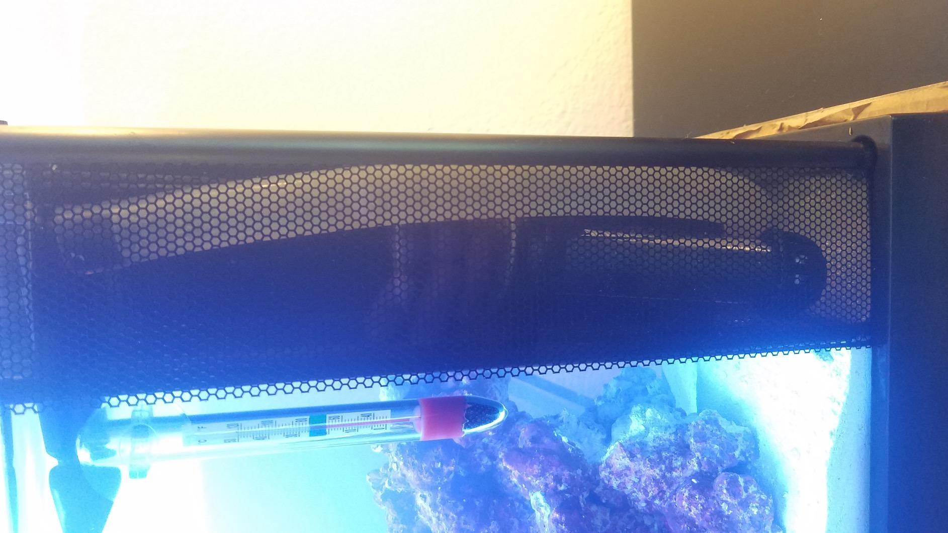 Fluval Sea Evo V Saltwater Fish Tank Aquarium Kit, 5 gal customer photo 2