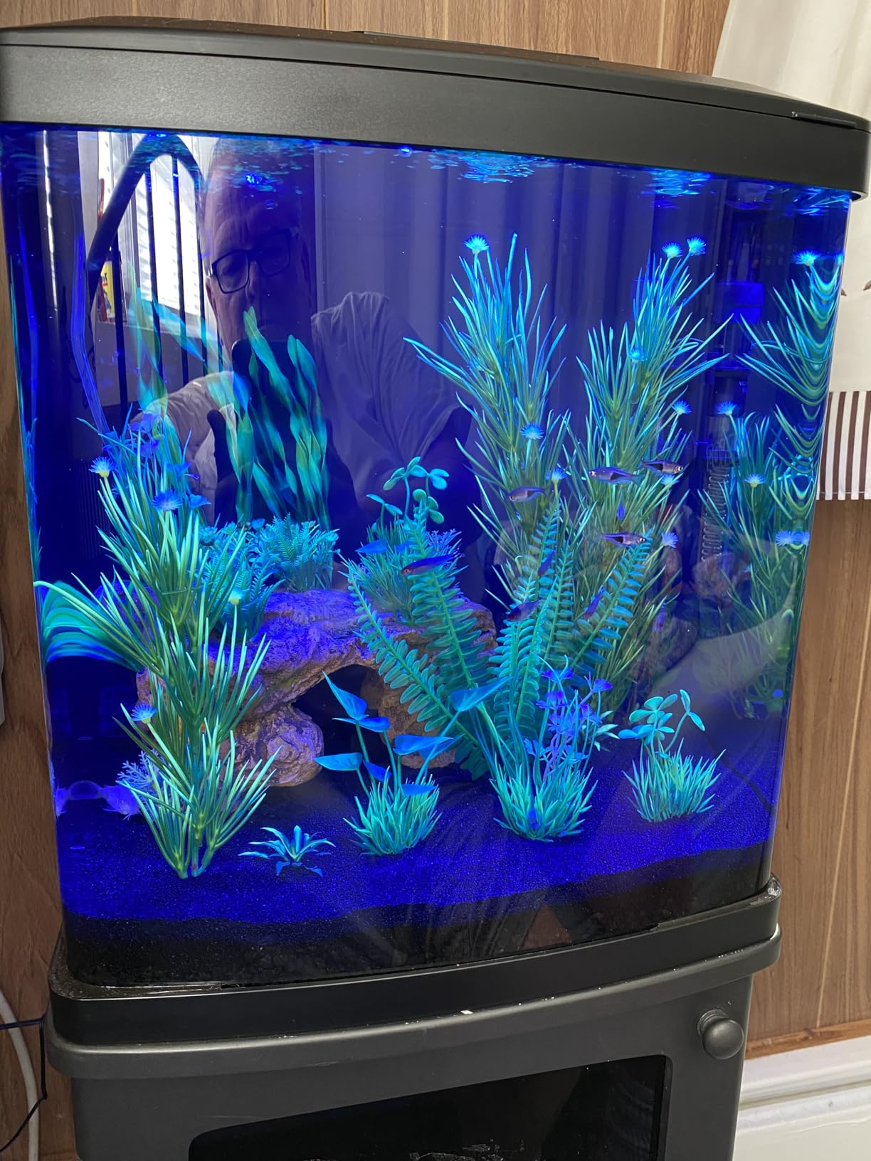 Coralife LED Biocube Aquarium Starter Kit, 16 Gallon customer photo 2