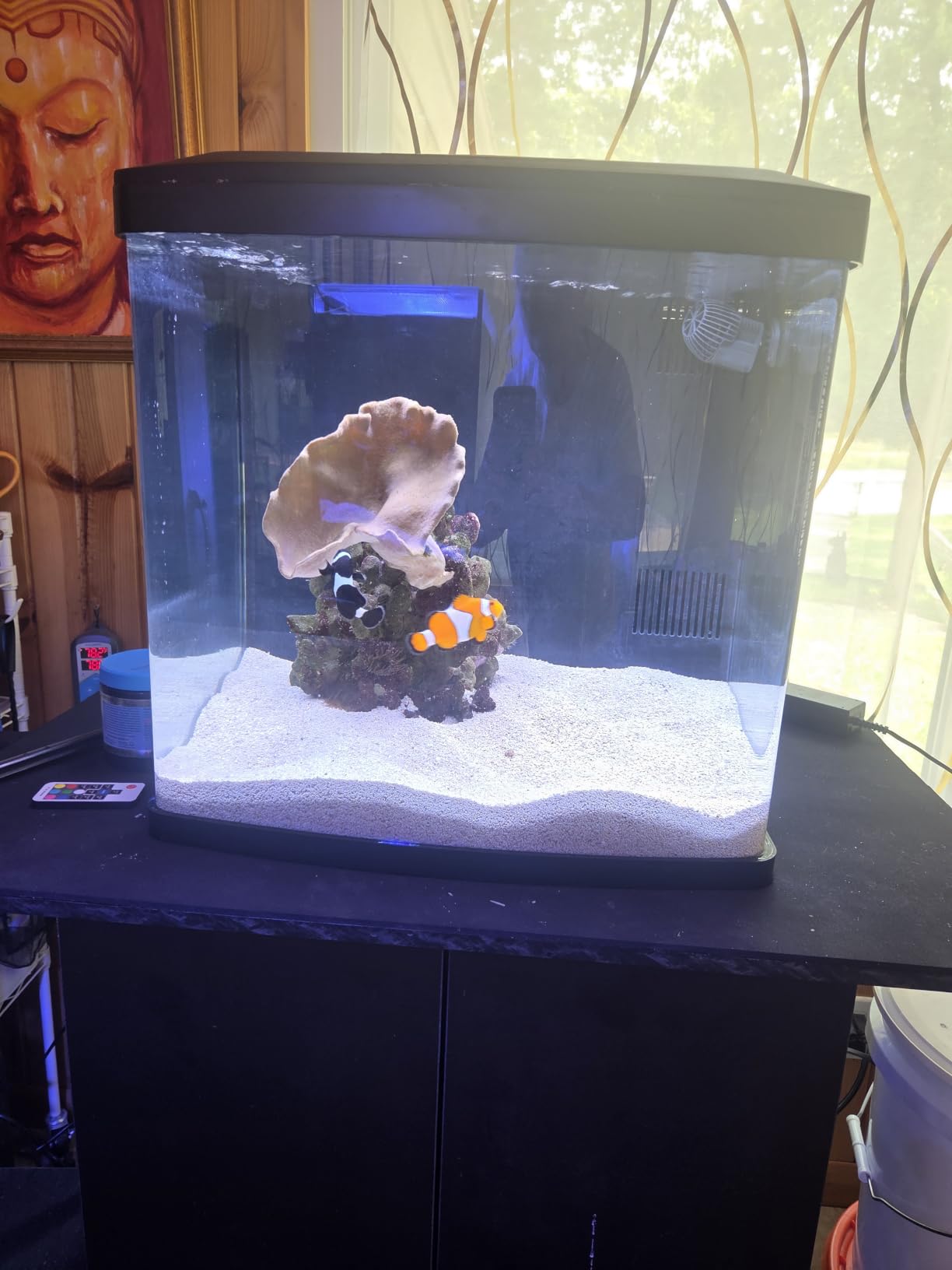 Coralife BioCube, Aquarium Kit, Integrated 24-hour Timer, Customizable LED Lighting, for Saltwater and Freshwater Environments, 32 Gallon customer photo 1