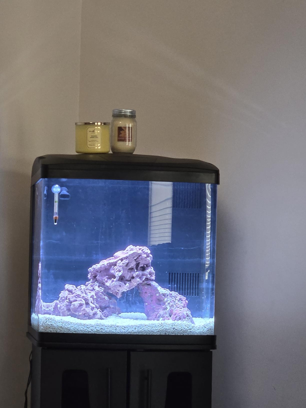 Coralife BioCube Aquarium Kit, 32 Gallon customer photo 2