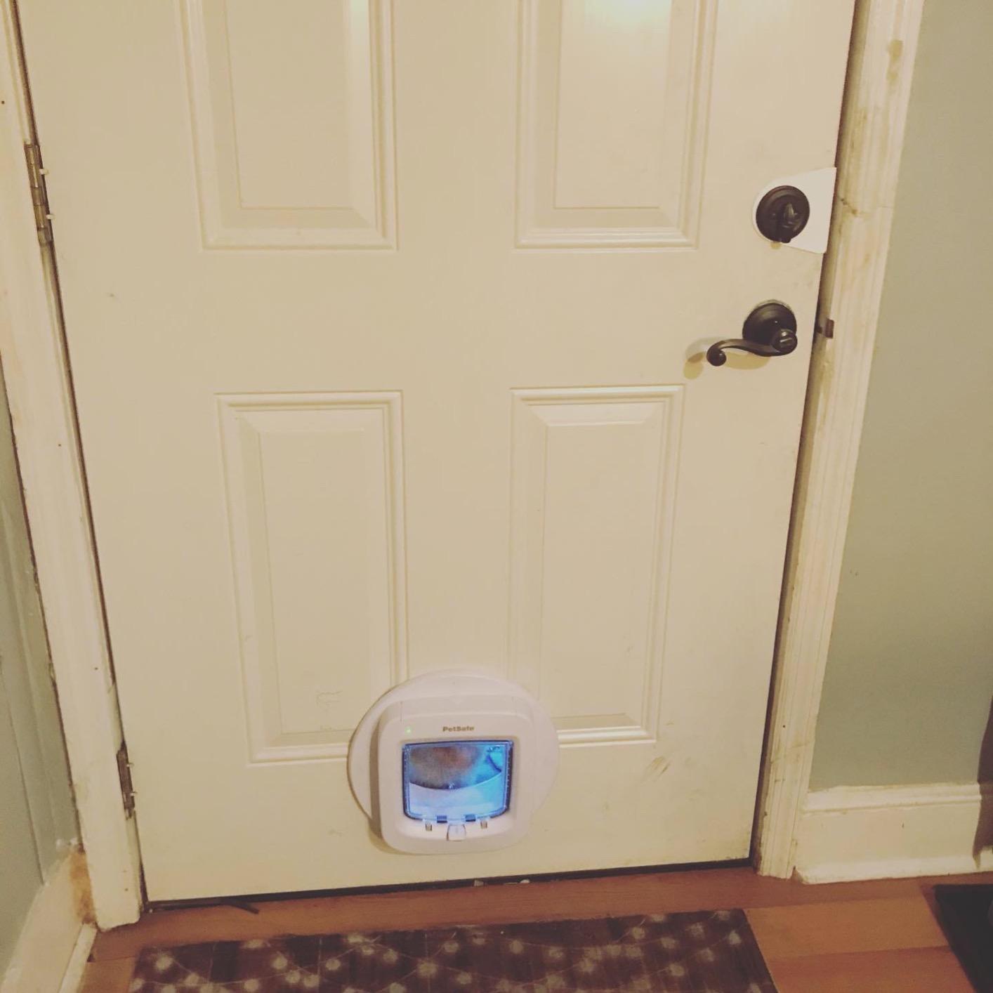 PetSafe Microchip Cat Door, Interior/Exterior, Multi-Pet, 4-Way Lock | 4-Way Lock (Locked/Unlocked/Enter/Exit Only), Reads Pet Microchip ID, Magnetic Latches Block Drafts customer photo 1