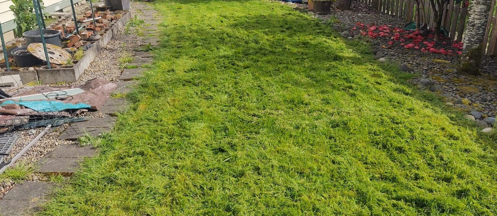 BLACK+DECKER Electric Lawn Mower, Weed Eater and Edger 3-in-1 Combo, Corded 12-Inch 6.5 Amp Electric Weed Wacker and Compact Push Mower (BESTA512CM) customer photo 2