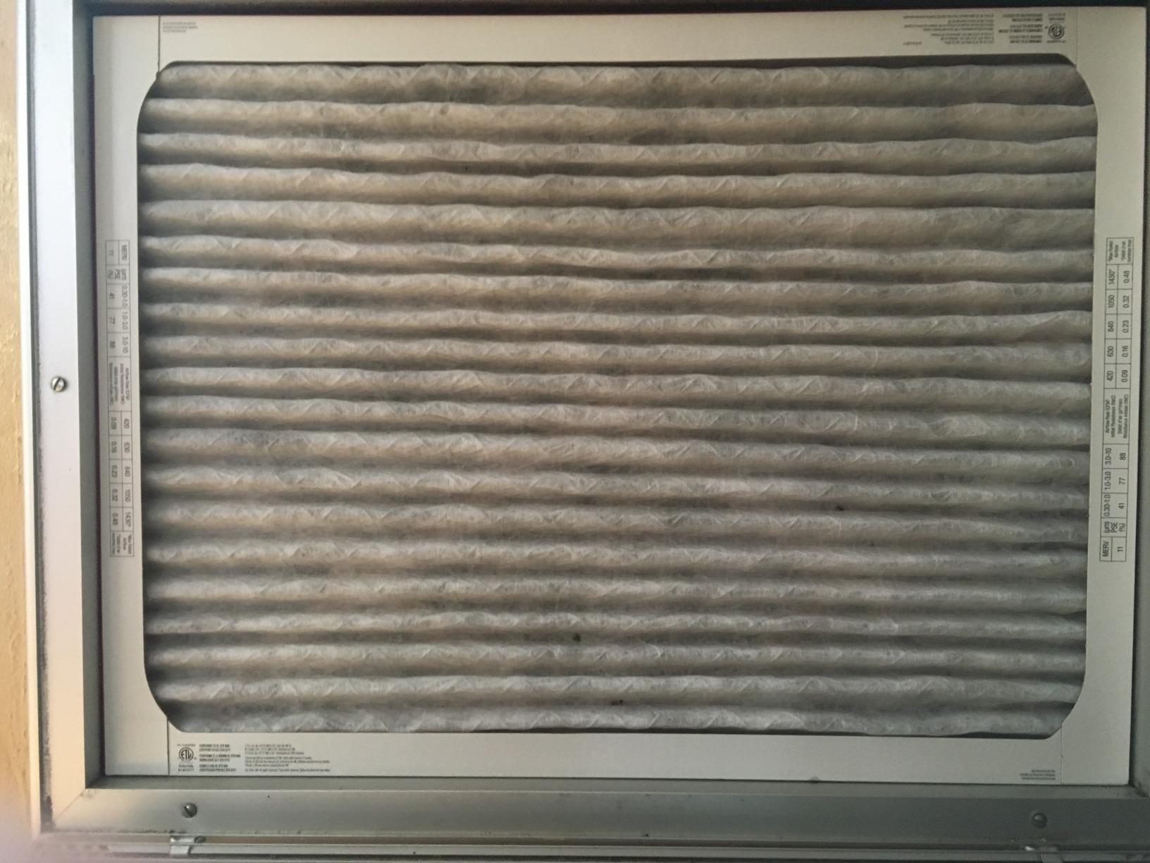 Filtrete 16x25x1 Air Filter, MERV 11, MPR 1000, 6 HVAC Filters | Allergens & Pet Dander, 3-Month AC/Furnace Filters (Act. Size 15.68x24.68x0.81 in) customer photo 2