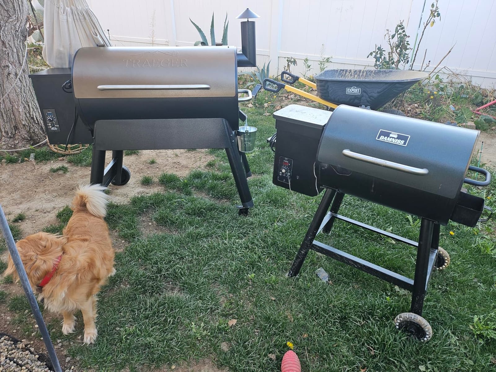 Traeger Pro 34 Wood Pellet Grill & Smoker, 884 Sq In, WiFi | 450°F max temp, meat probe included, 6-in-1 BBQ versatility - grill, smoke, bake, roast, braise & BBQ customer photo 1