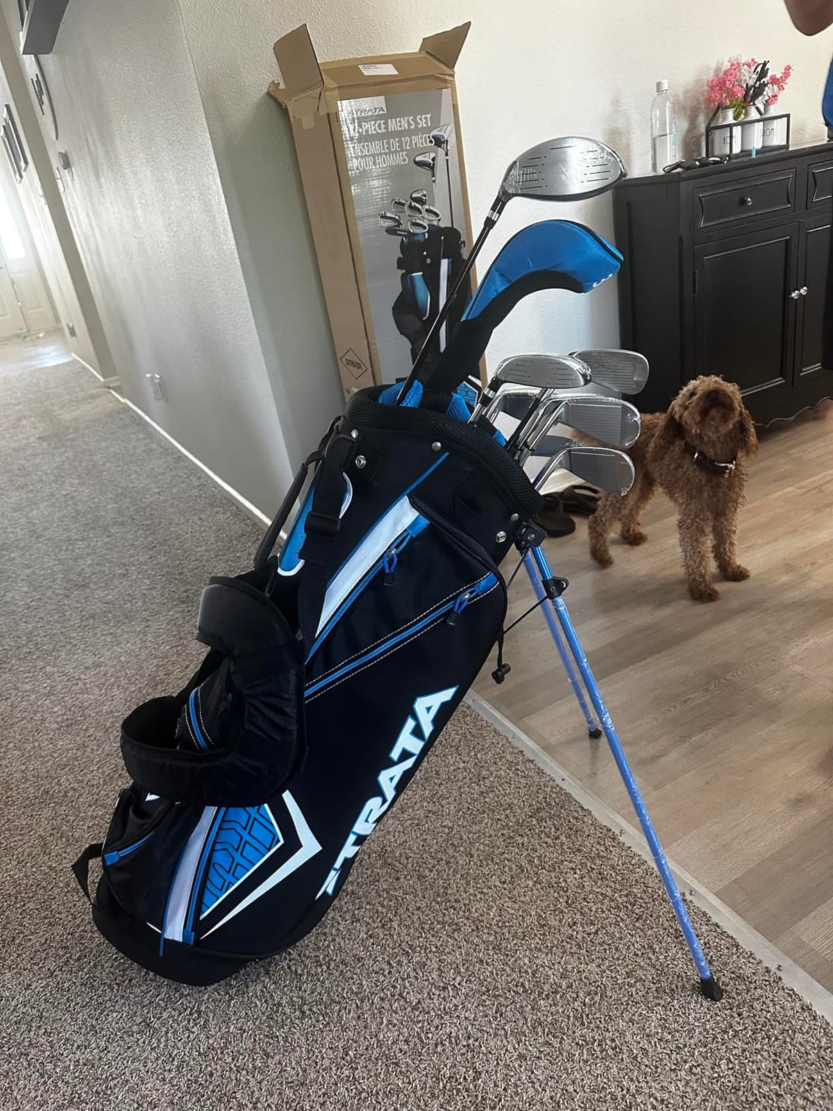Callaway Golf Strata Complete Golf Set (Men's and Women's) customer photo 1