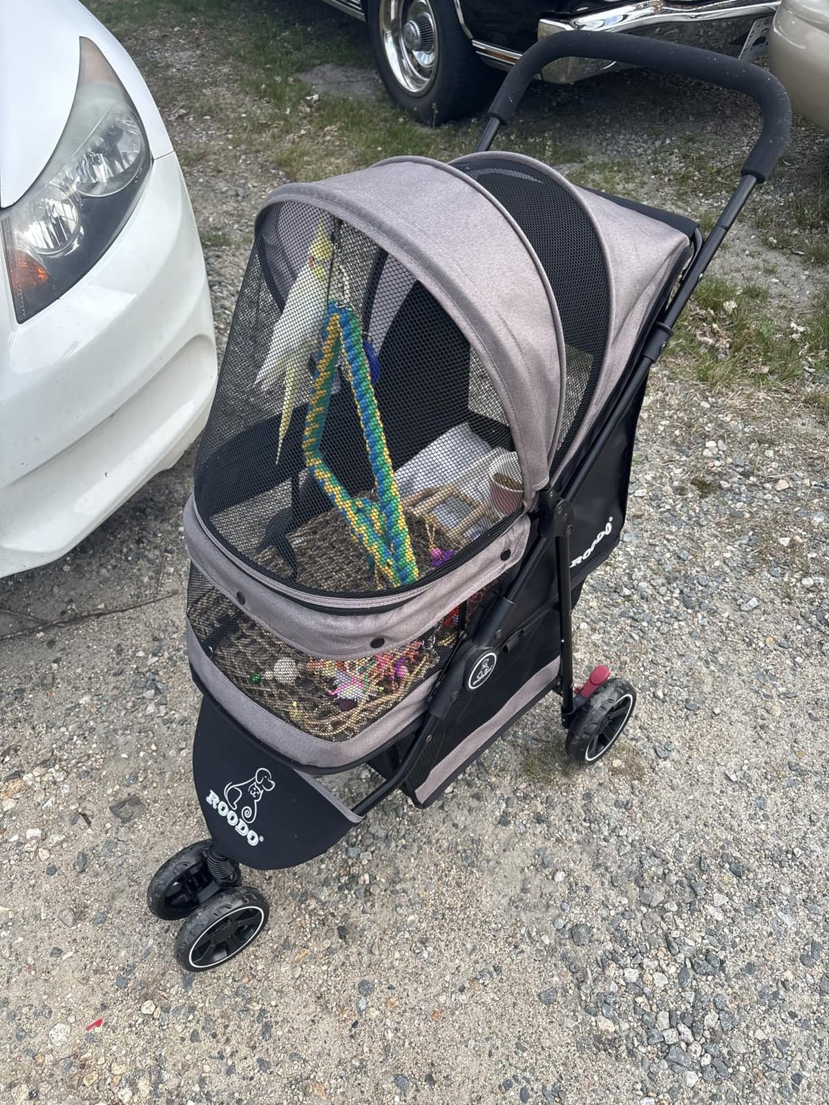 ROODO Escort 3 Wheel Dog Cat Pet Stroller for Small/Medium Dogs Cats Best Lightweight Foldable Portable Compact Jogger All Terrain Travel Pet Gear System Puppy Doggie Bunny Kitty Stroller(Grey) customer photo 2