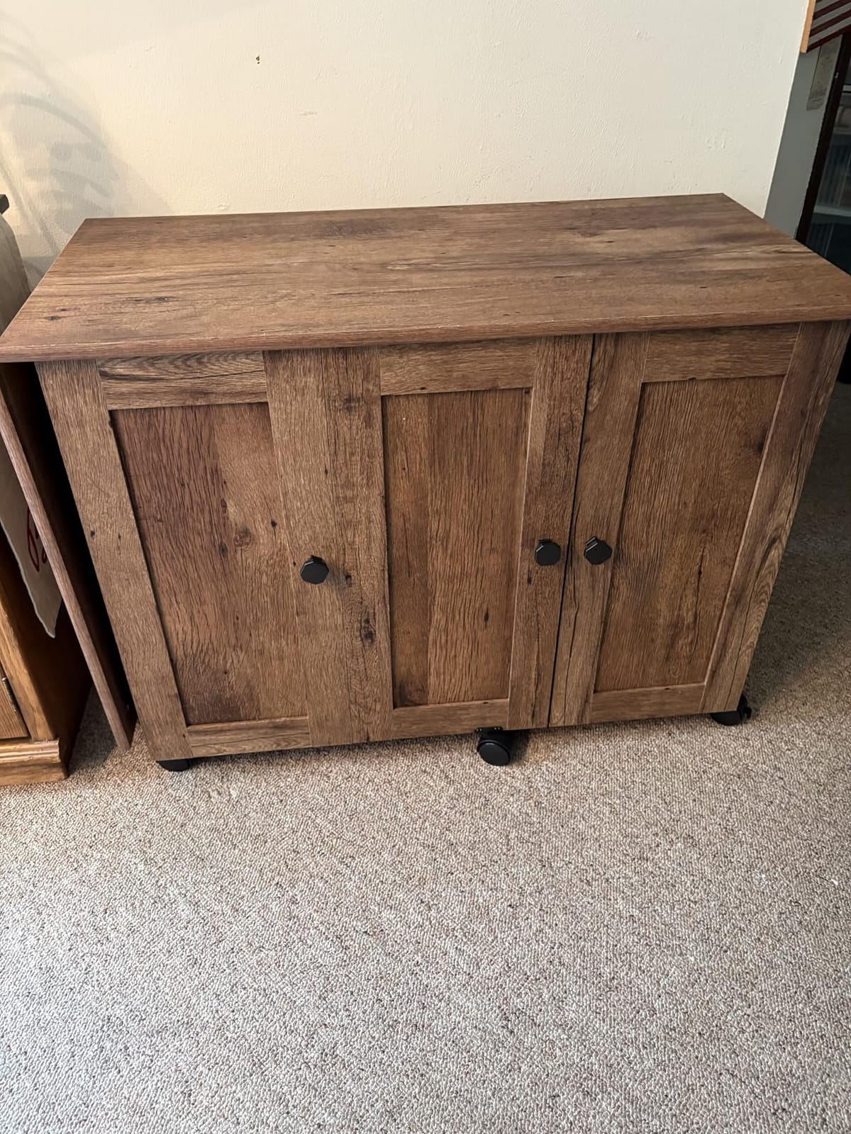 Sauder Miscellaneous Storage Sewing/Craft Cart/Pantry cabinets, Vintage Oak finish customer photo 1