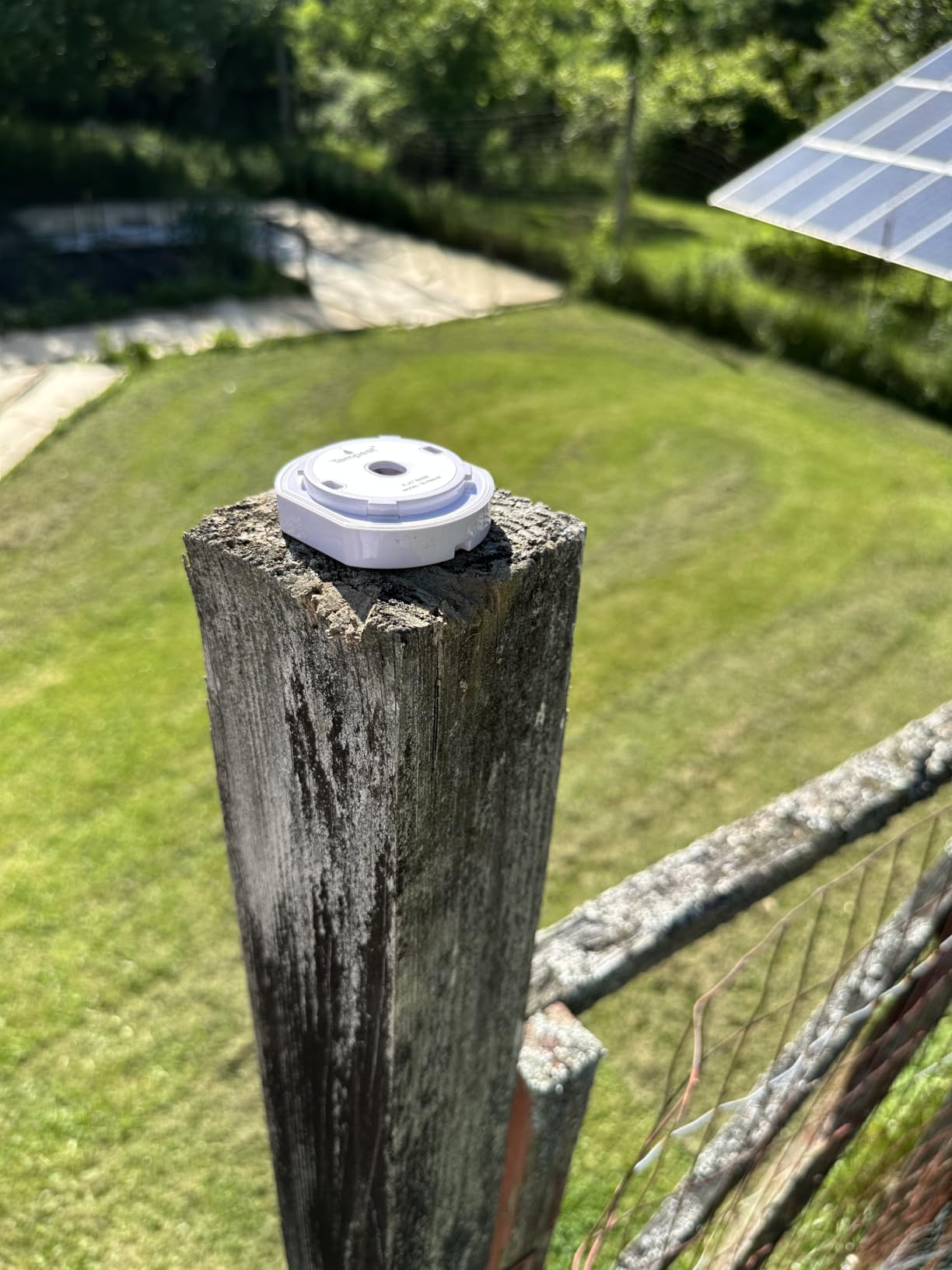 Tempest Weather Station with Built-in Wind Meter, Rain Gauge, and Accurate Weather Forecasts, Wireless, App and Alexa Enabled customer photo 2