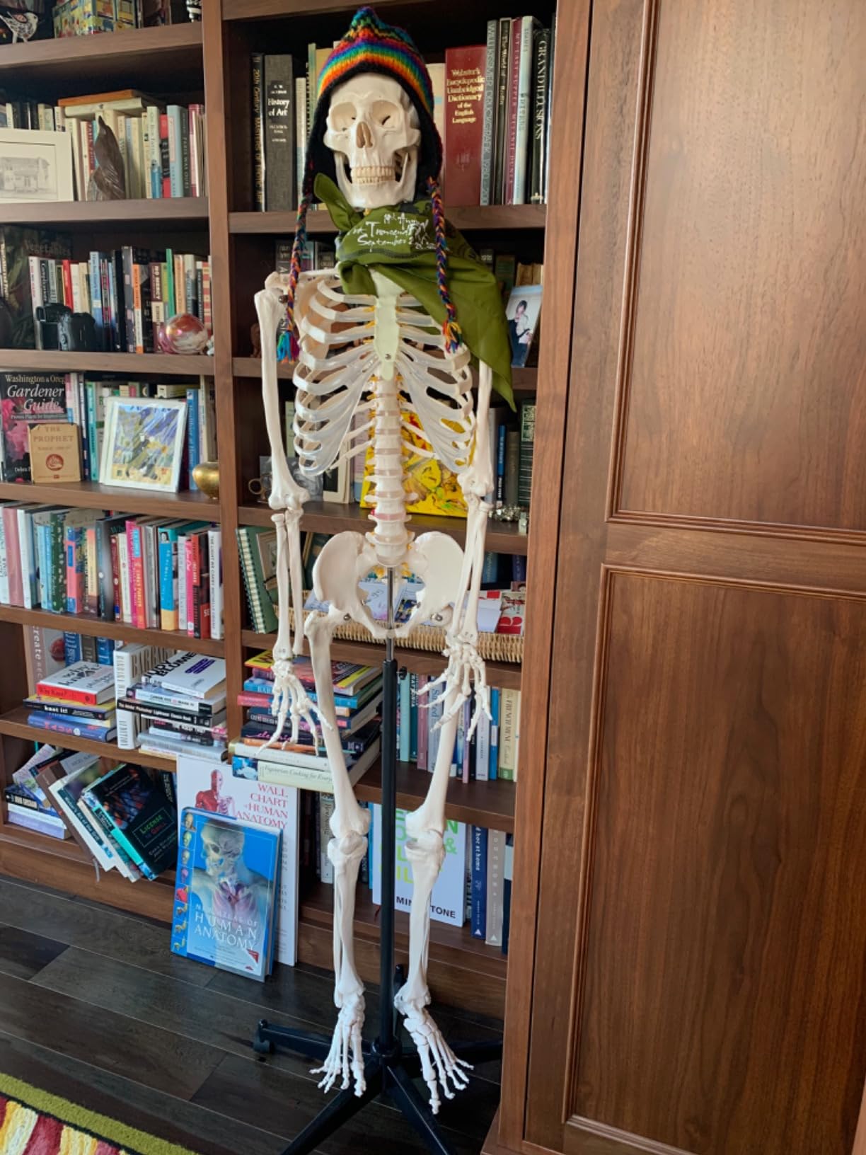 breesky Human Skeleton Model for Anatomy- Life Size Medical Human Skeleton Model with Nervous System 70.8 in with Rolling Stand for Medical Study and Display 3 Posters customer photo 2