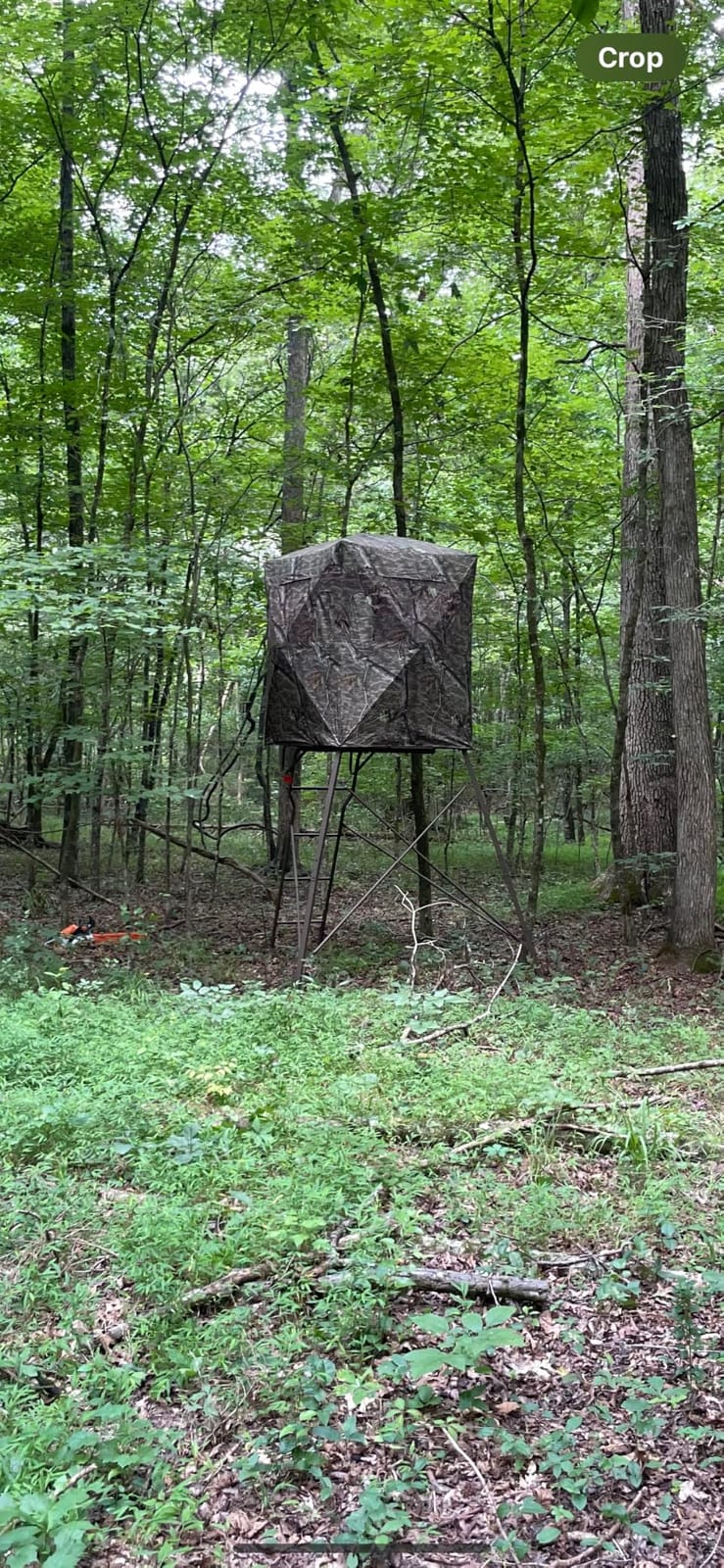 Guide Gear 6 Foot Tripod Hunting Tower Blind, 2-Man Stand Elevated, Hunting Gear Equipment Accessories, 4 by 4 customer photo 2