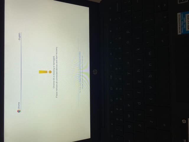 HP Chromebook 11-inch Laptop - MediaTek - MT8183 - 4 GB RAM - 32 GB eMMC Storage - 11.6-inch HD Display - with Chrome OS - (11a-na0010nr, 2020 model) customer photo 1