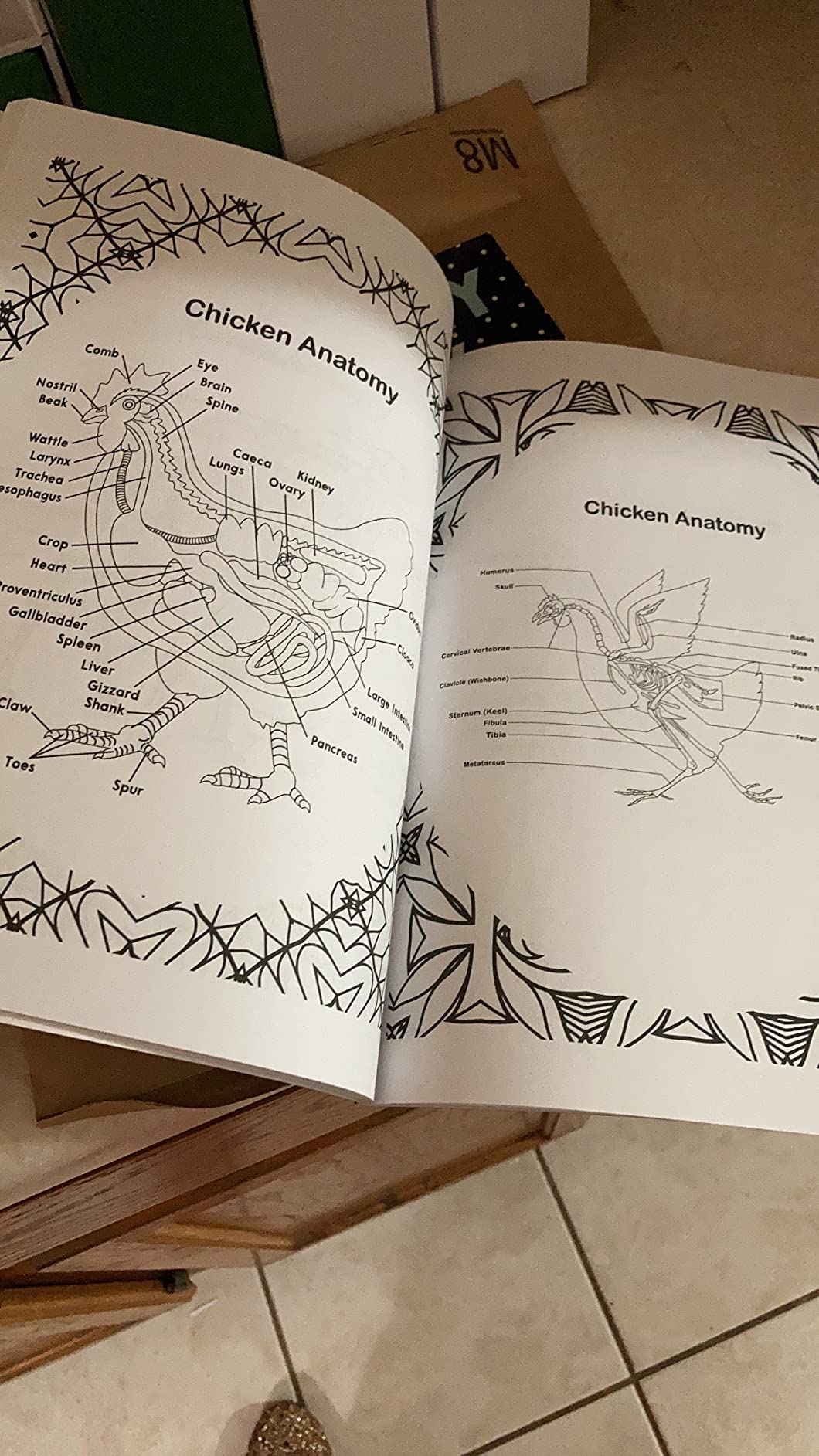 Veterinary Anatomy Coloring Book: Dog Cat Horse Frog Bird Anatomy Coloring Book. Perfect gift For All Ages Kids 4, 5, 6, 7, 8, 9 & 10. Vet tech ... Veterinary & Zoology Anatomy Coloring Book. customer photo 1