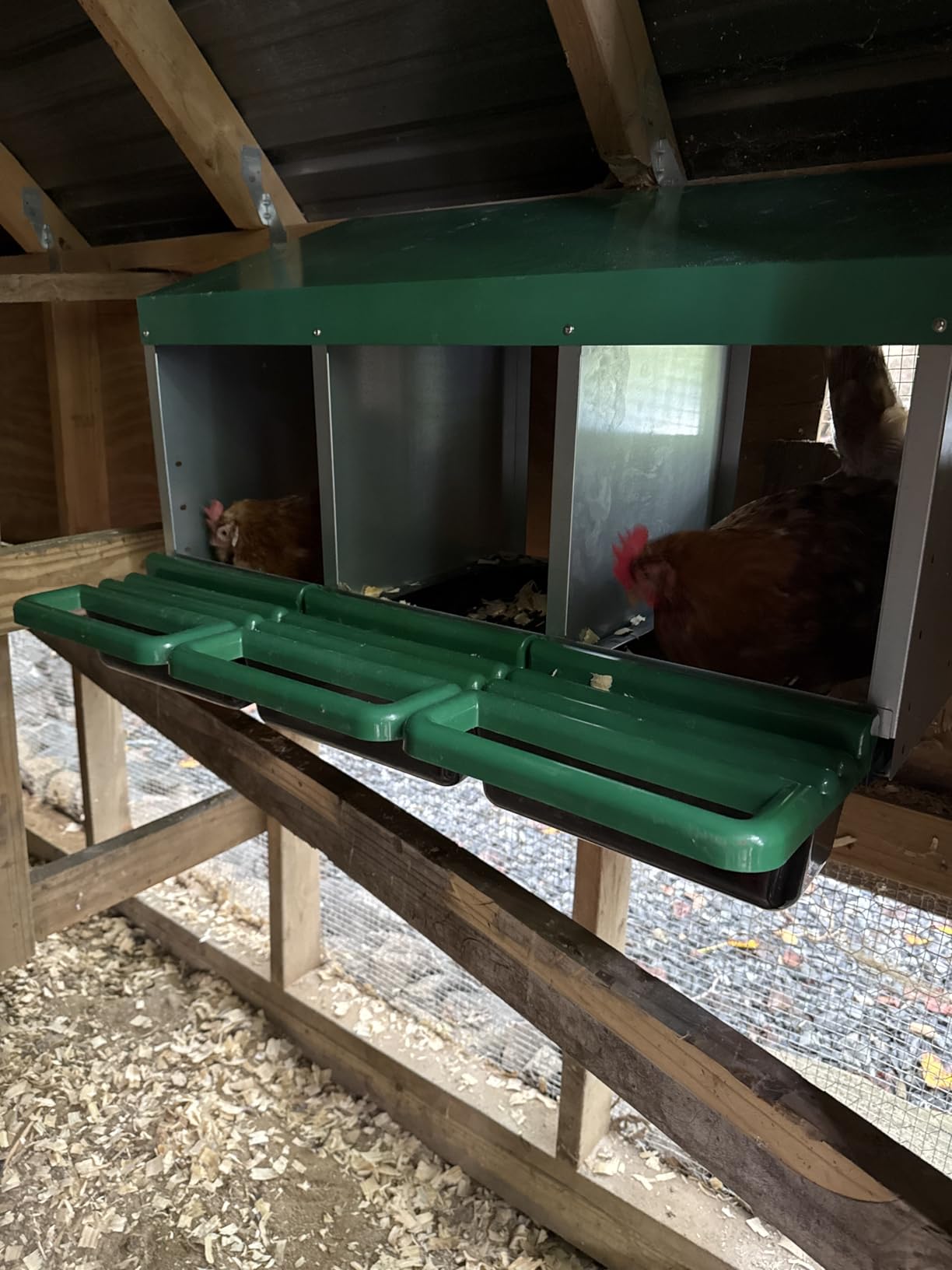 Homestead Essentials Classic Style 3 Compartment, Forward Rollout & Rollaway, Hen & Chicken Nesting Box with Integrated Perch and Protective Egg Laying Collection Lids customer photo 2