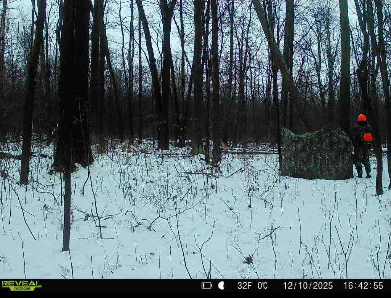 TIDEWE Hunting Blind for Deer, 270° See Through Ground Blind | Pop Up Design, Camo Hunting Tent, Silent Sliding Windows, Brush Loops, Metal Hub, Carry Bag Included customer photo 2