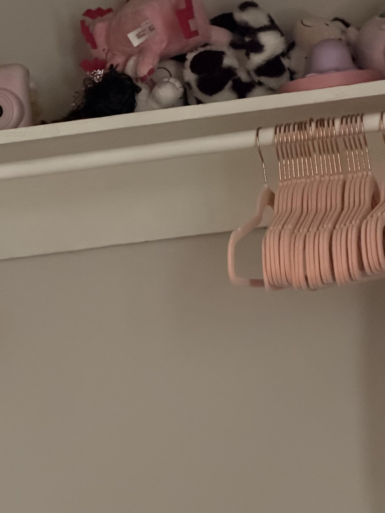 Amazon Basics Space Saving Slim Velvet Non-Slip Suit Clothes Hangers, Sturdy Construction, Closet Organizer, Pack of 50, Blush Pink/Rose Gold customer photo 2