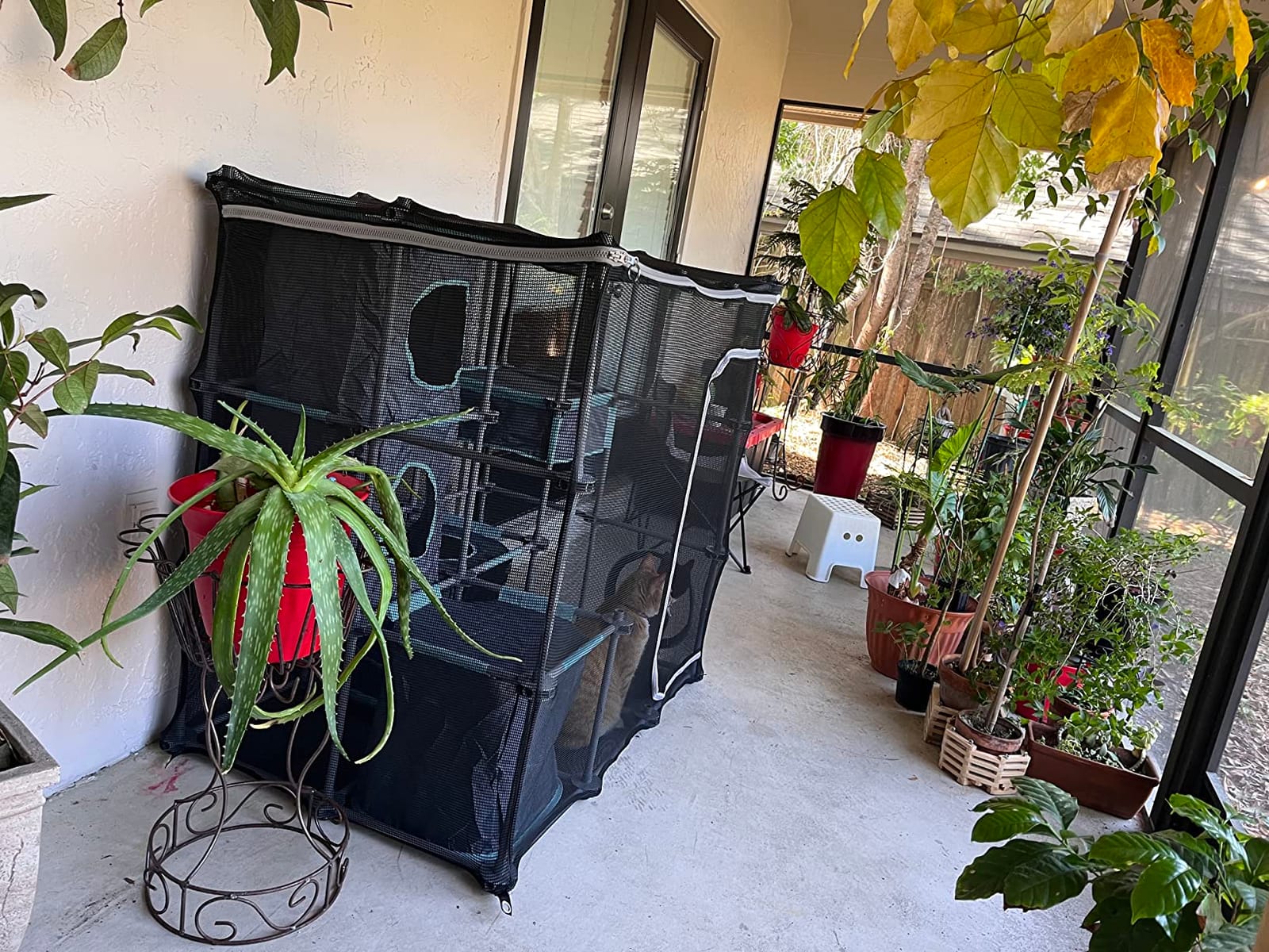 Kitty City Outdoor Catio Furniture and Play Kits for Cats, Outdoor Mega Kit customer photo 2