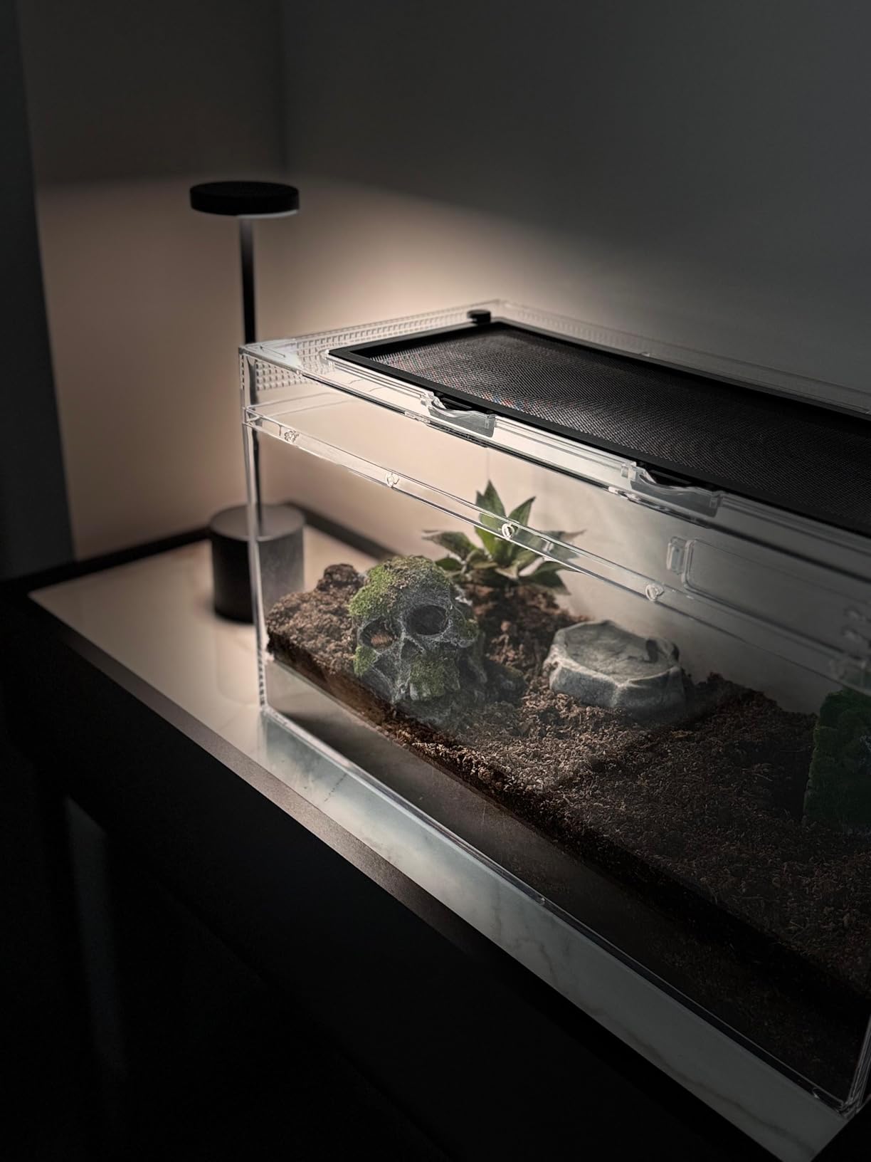Reptile Growth Reptile Terrarium,10 Gallon Reptile Tank 20