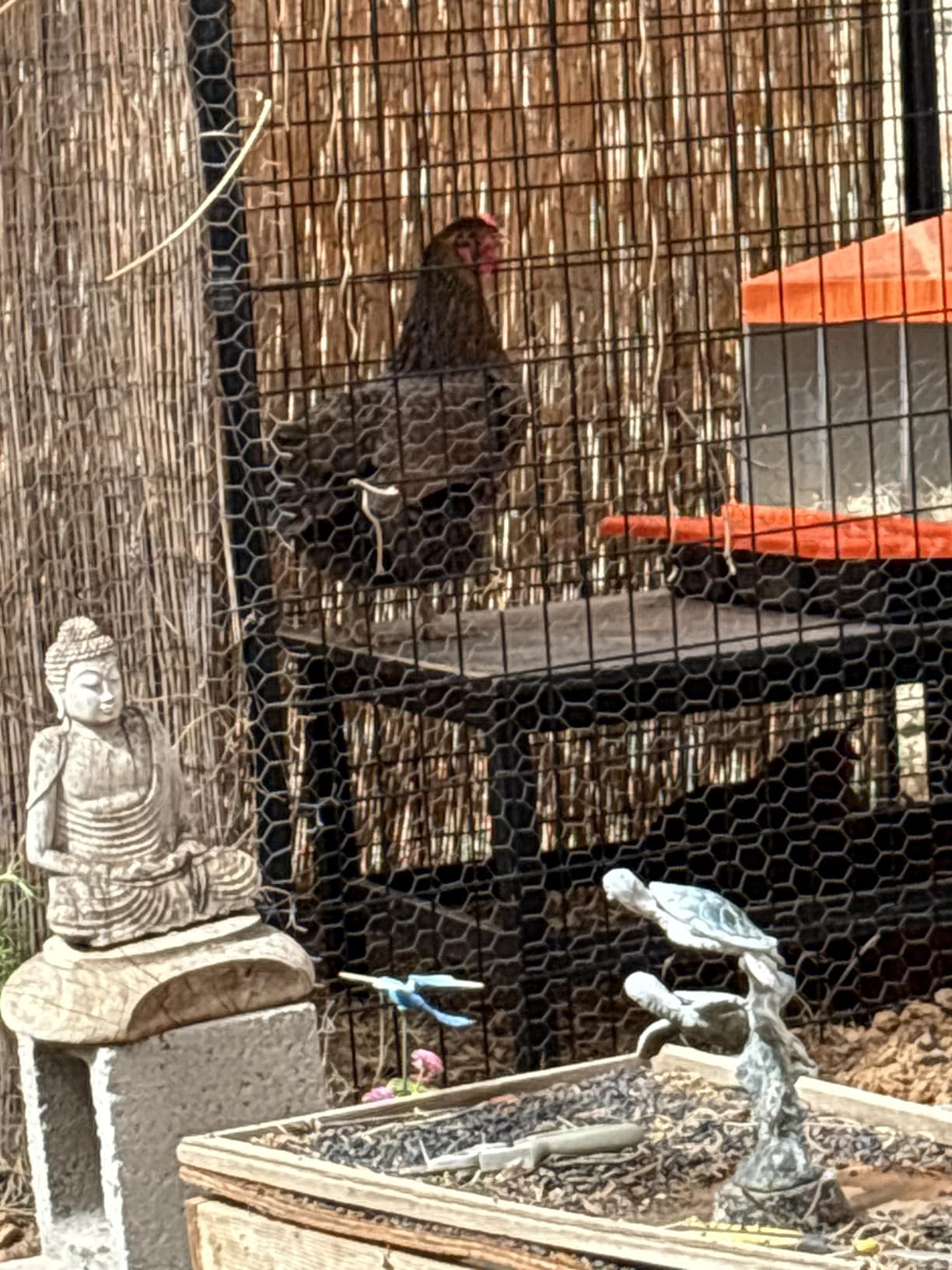 ZenxyHoC Chicken Nesting Boxes, Metal Chicken Egg Laying Box with Swing Perch and Rollout Egg Collection for Chicken Coop Red 3 Compartments customer photo 1