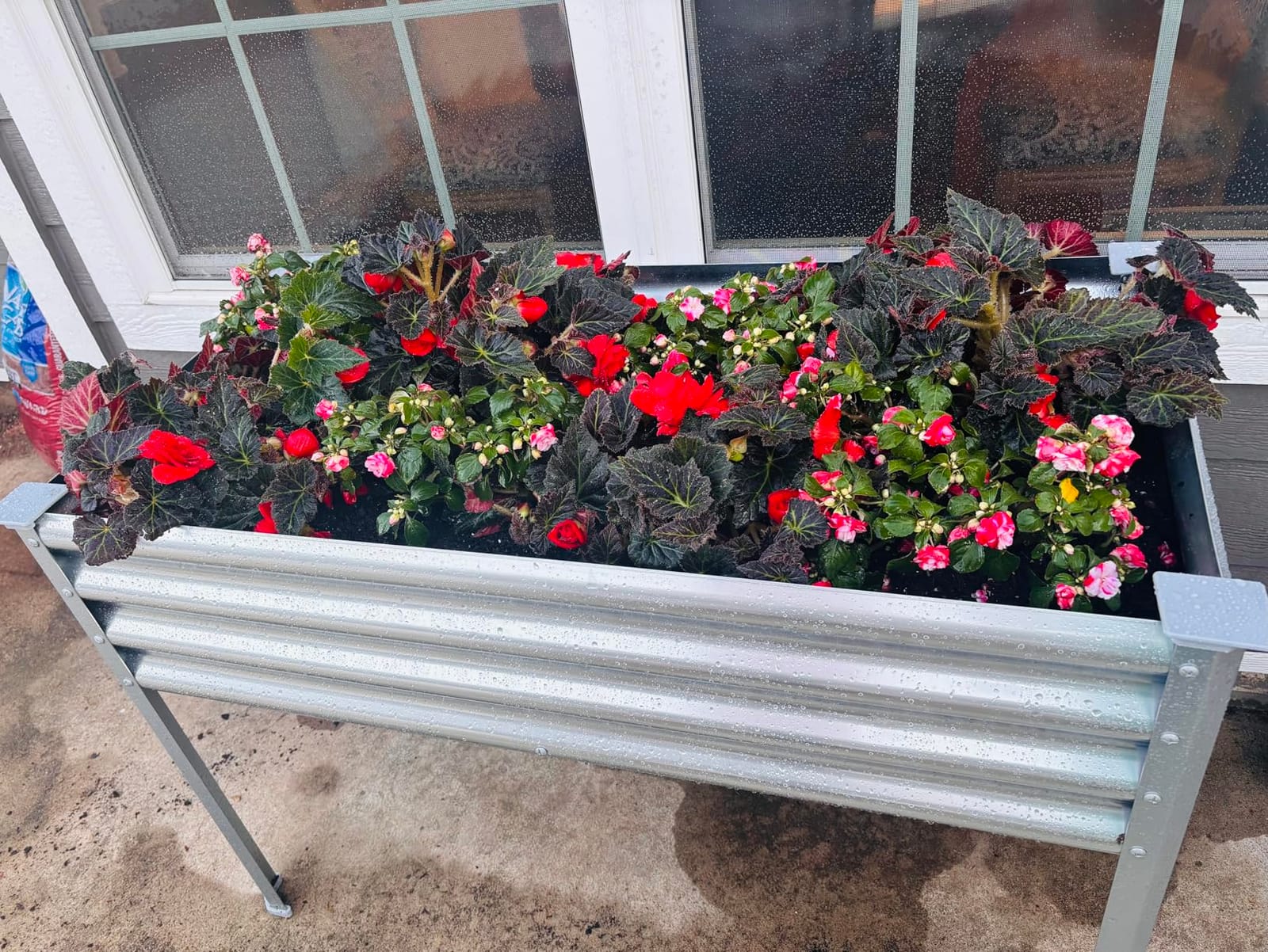 Land Guard Galvanized Raised Garden Bed with Legs, 48x24x32in Large Metal Elevated Raised Planter Box with Drainage Holes for Backyard, Patio, Balcony, 700lb Capacity(Grey) customer photo 1