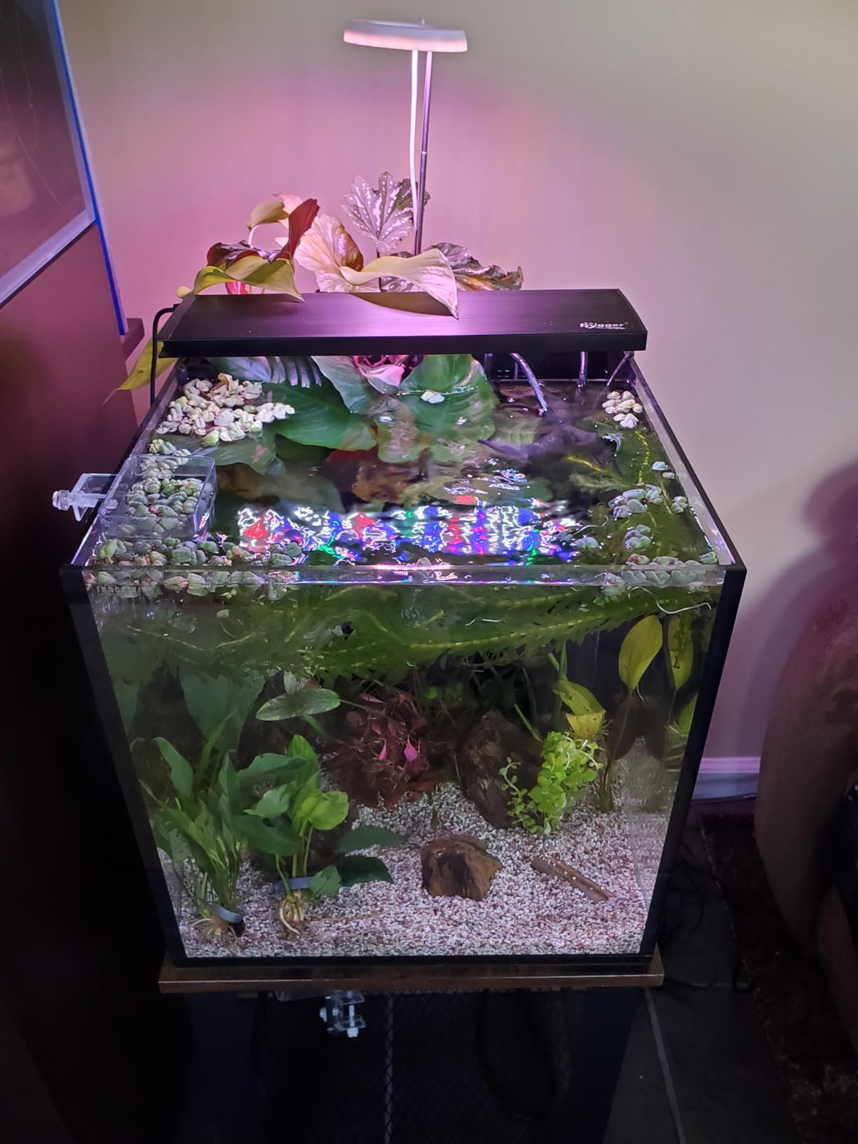 Innovative Marine Starter Kit Aquariums (15 Gallon Cube) customer photo 1