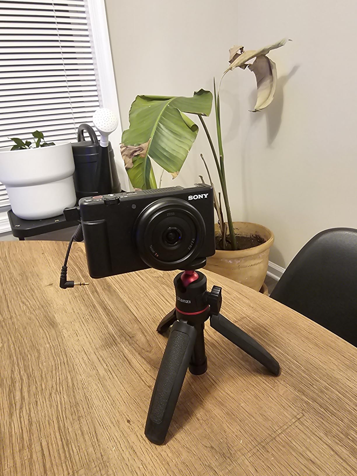 Sony ZV-1F Compact Digital Camera 4K Video White customer photo 1