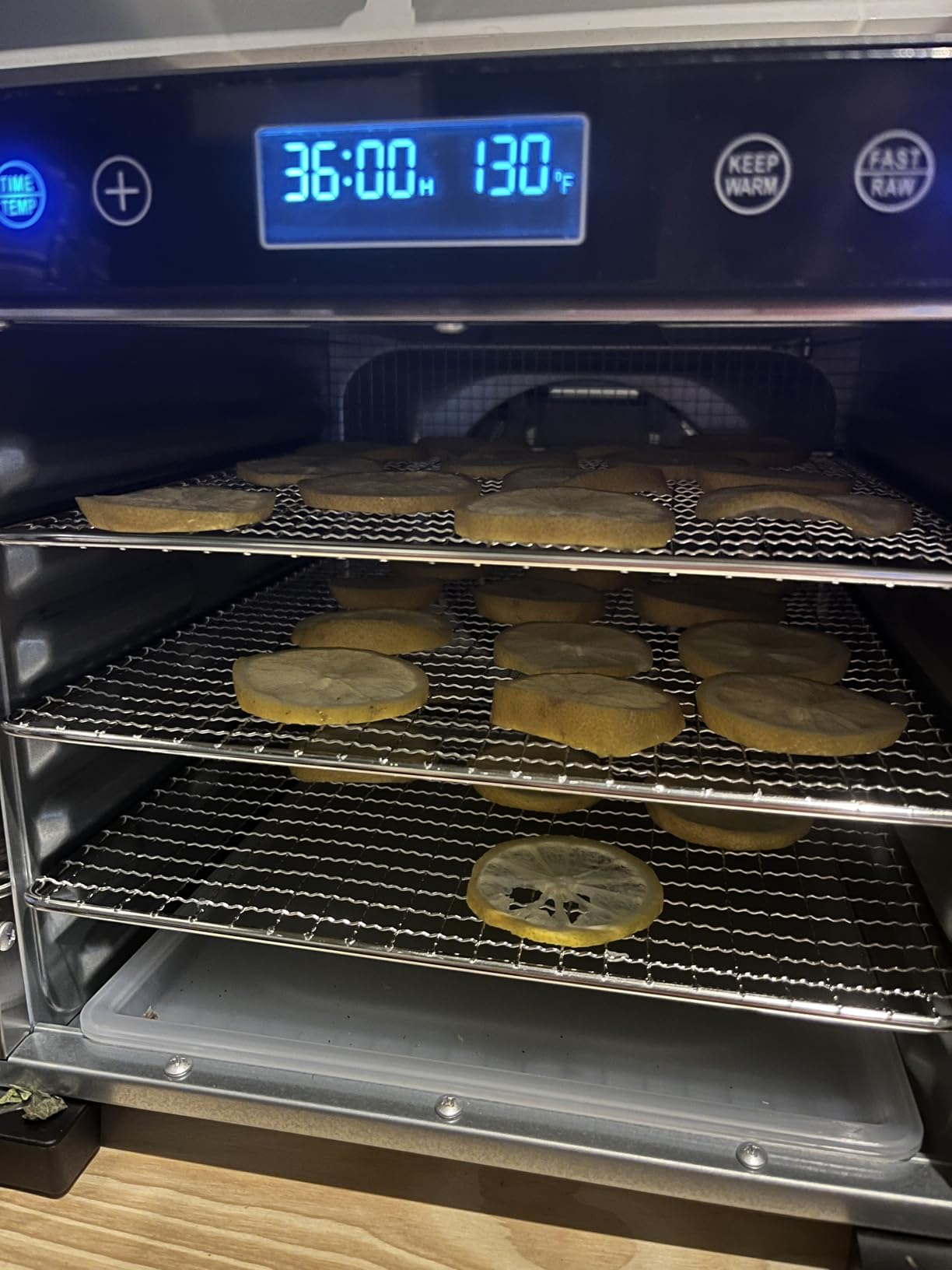 Magic Mill Pro Food Dehydrator Machine | Powerful 600W Rear Fan Even-Drying System | 7 Full-Size Stainless Steel Trays | 95°-176° Temperature Control, 48H Timer, Keep Warm + Auto Shutoff | ETL Listed customer photo 2