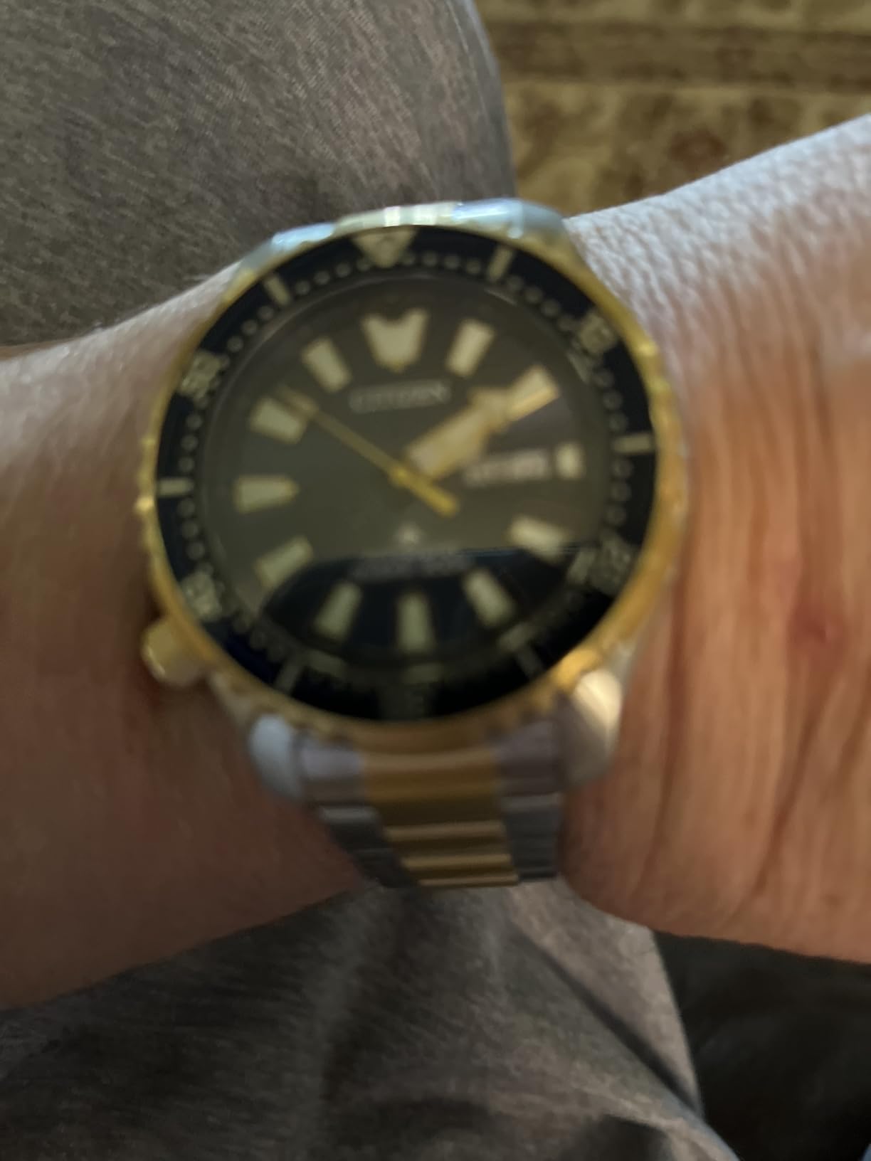Men's Promaster Dive Fugu customer photo 1