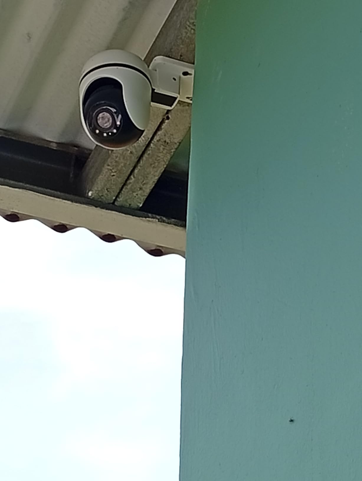 Tapo 1080P Outdoor Wired Pan/Tilt Security Wi-Fi Camera, 360° View, Motion Tracking, Works with Alexa & Google Home, Night Vision, Free AI Detection, Cloud & SD Card Storage(up to 512GB), Tapo C500 customer photo 2