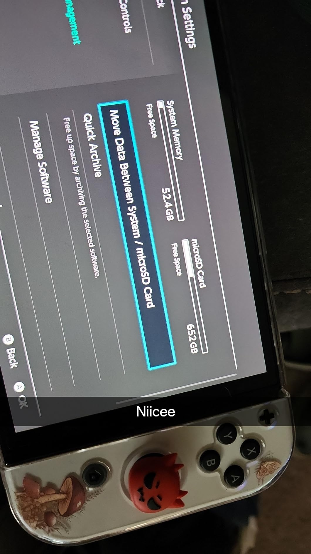 SanDisk 1TB microSDXC-Card Licensed for Nintendo-Switch - SDSQXAO-1T00-GN6ZN customer photo 2