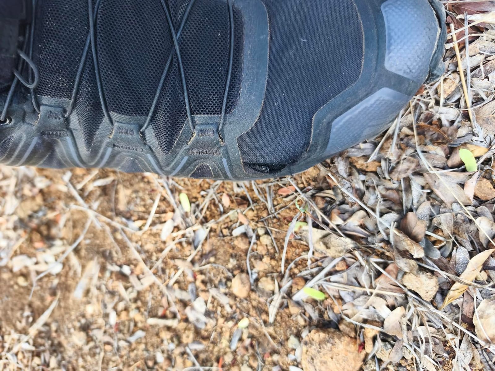 Salomon Women's Speedcross Trail Running Shoes customer photo 2