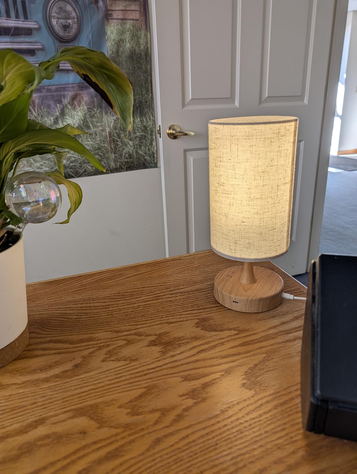 Caromolly Light Therapy Lamp, Sunlight Lamp 10000 Lux with Remote Control, 3 Color Temperature & 4 Brightness Level & Timer, Daylight Lamp for Home, Office, Decoration customer photo 1